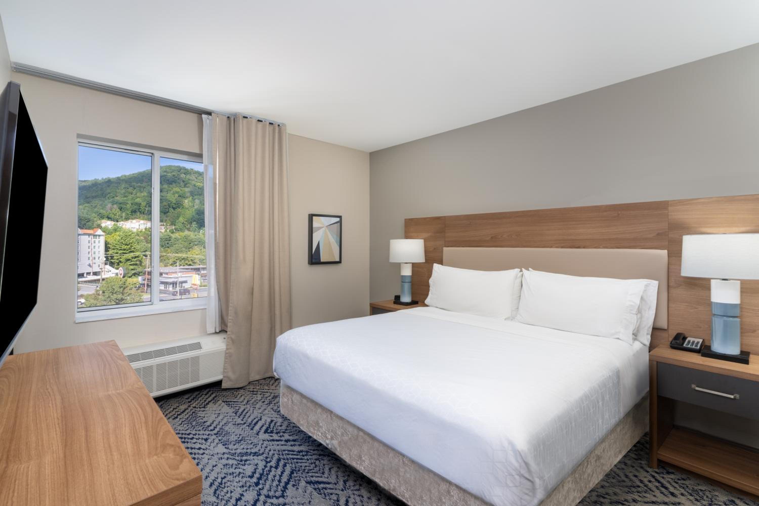 King Studio Suite - Mountain View/Non-Smoking - Photo 1
