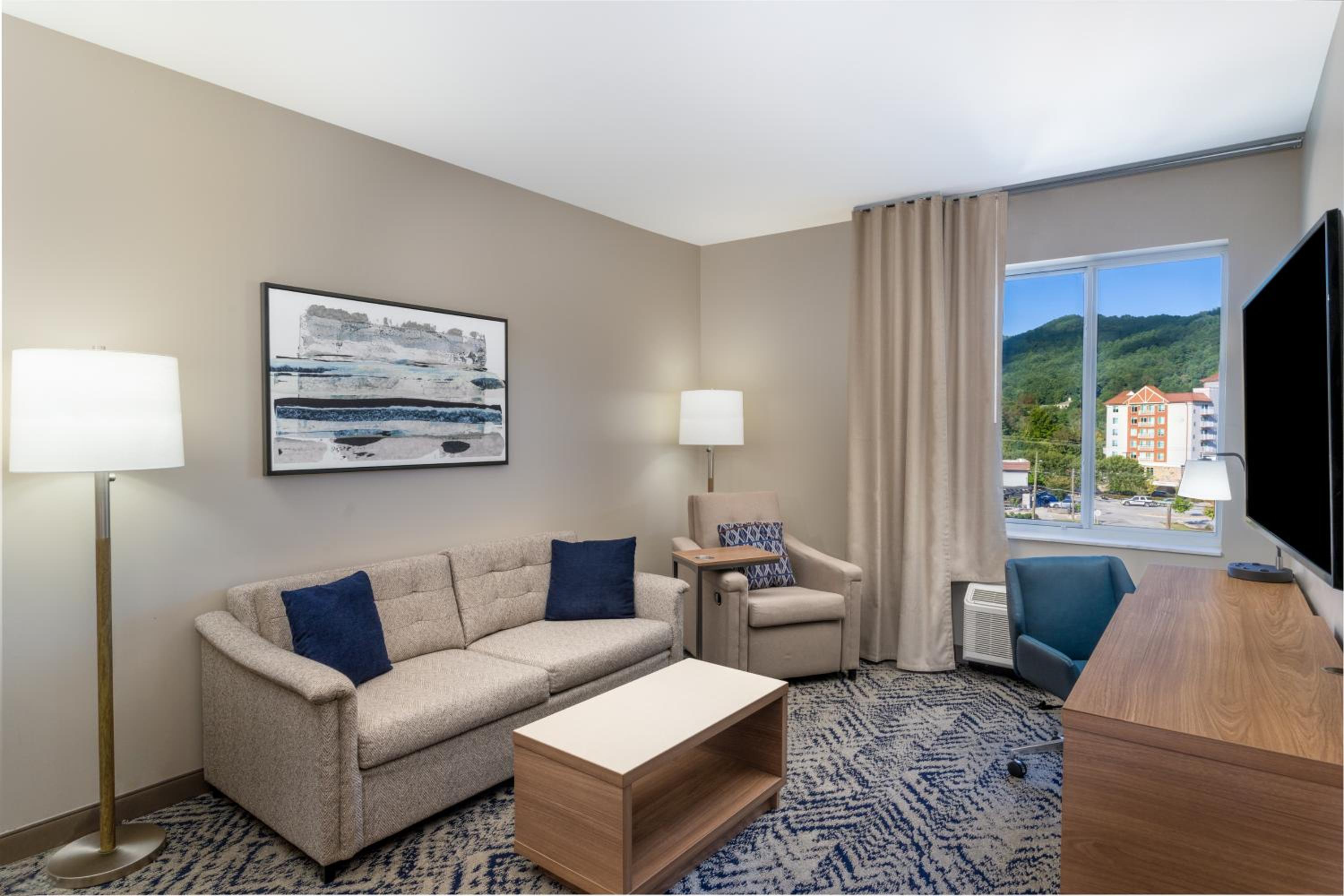 One-Bedroom King Suite - Mountain View/Non-Smoking - Photo 4
