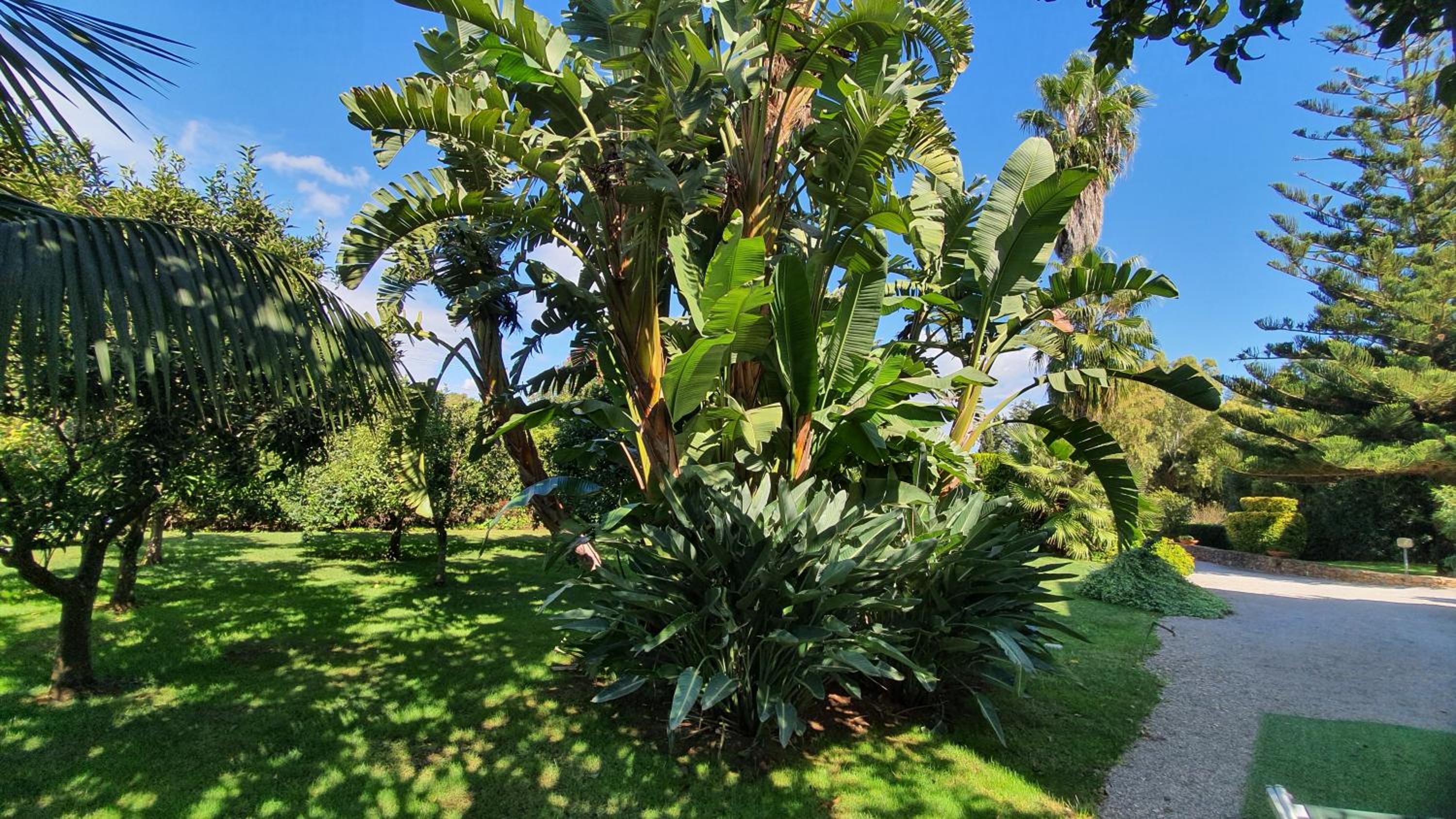 Triple Room with Garden View - Photo 7