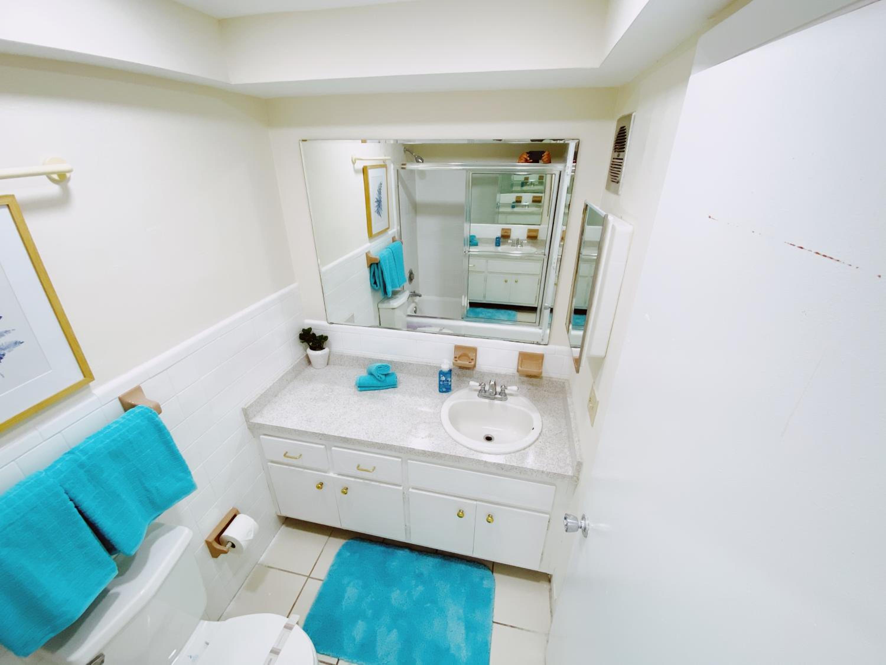 Premium Two Bedroom Two Bath Family Suite with Kitchen and Sofa Bed - Photo 7