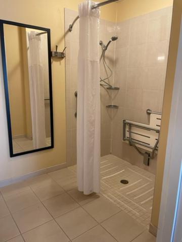 King Room with Roll-In Shower - Accessible/Non-Smoking photo 2