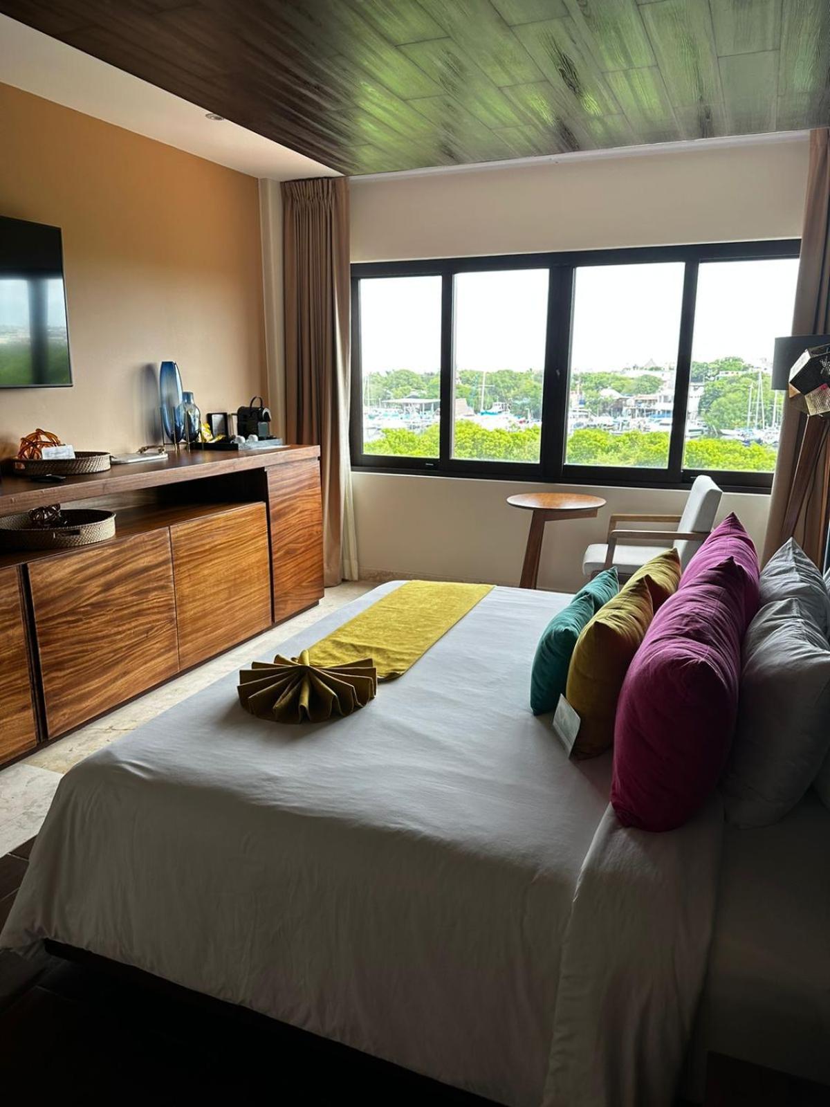 Luxury Junior Suite 1 King Bed