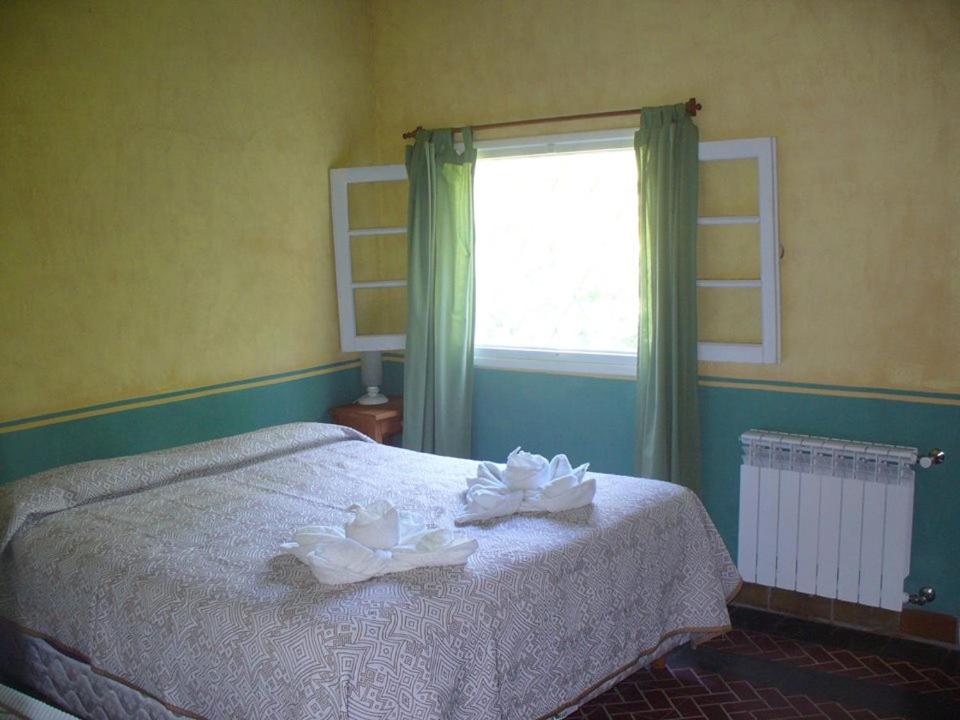 Superior Quadruple Room photo 1