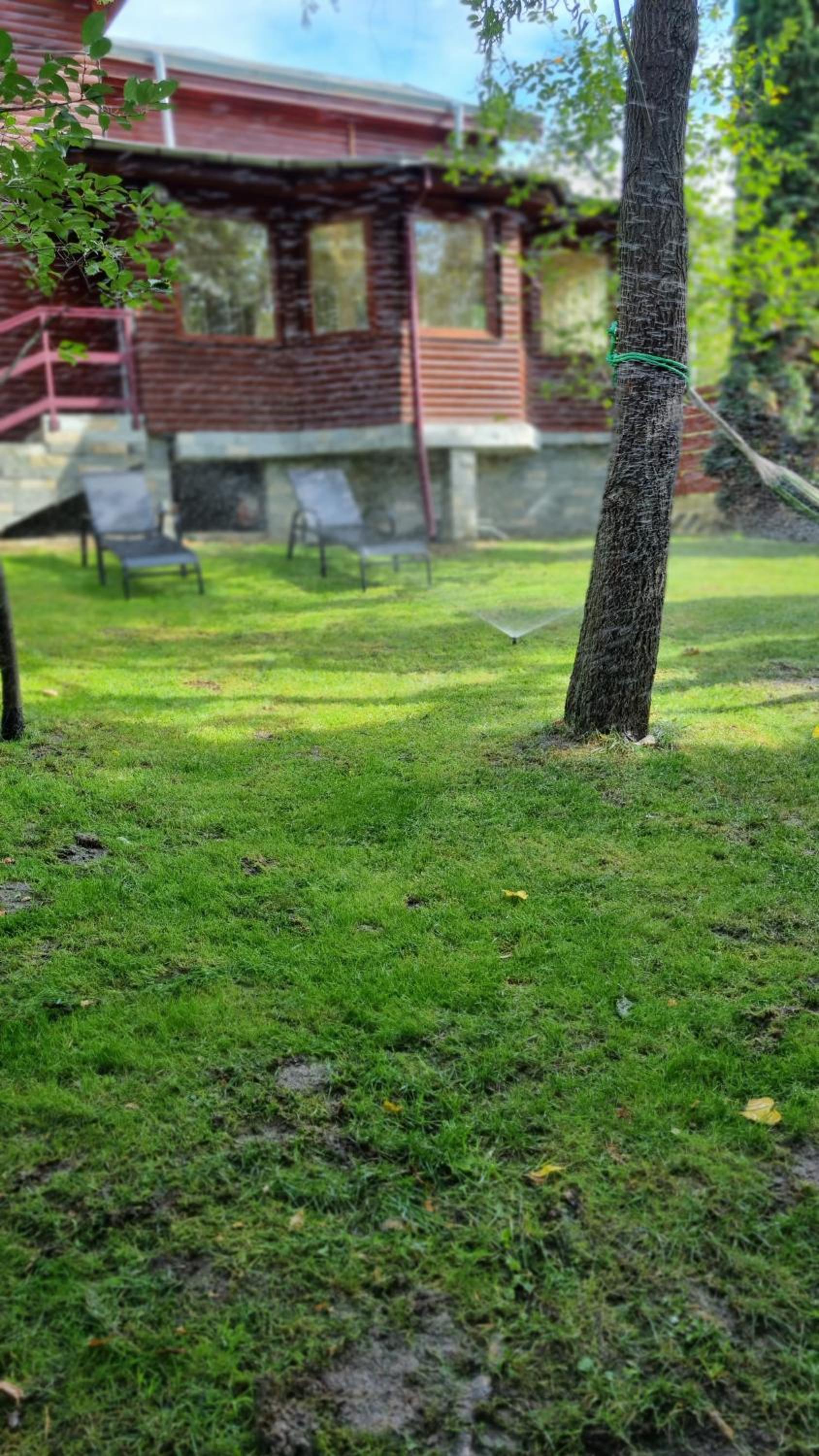 Standard Villa - Photo 38