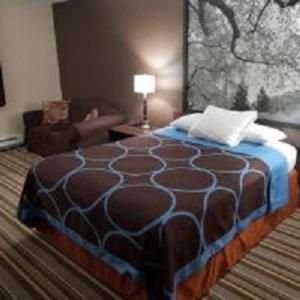 Queen Room - Pet Friendly/Non-Smoking - Photo 1