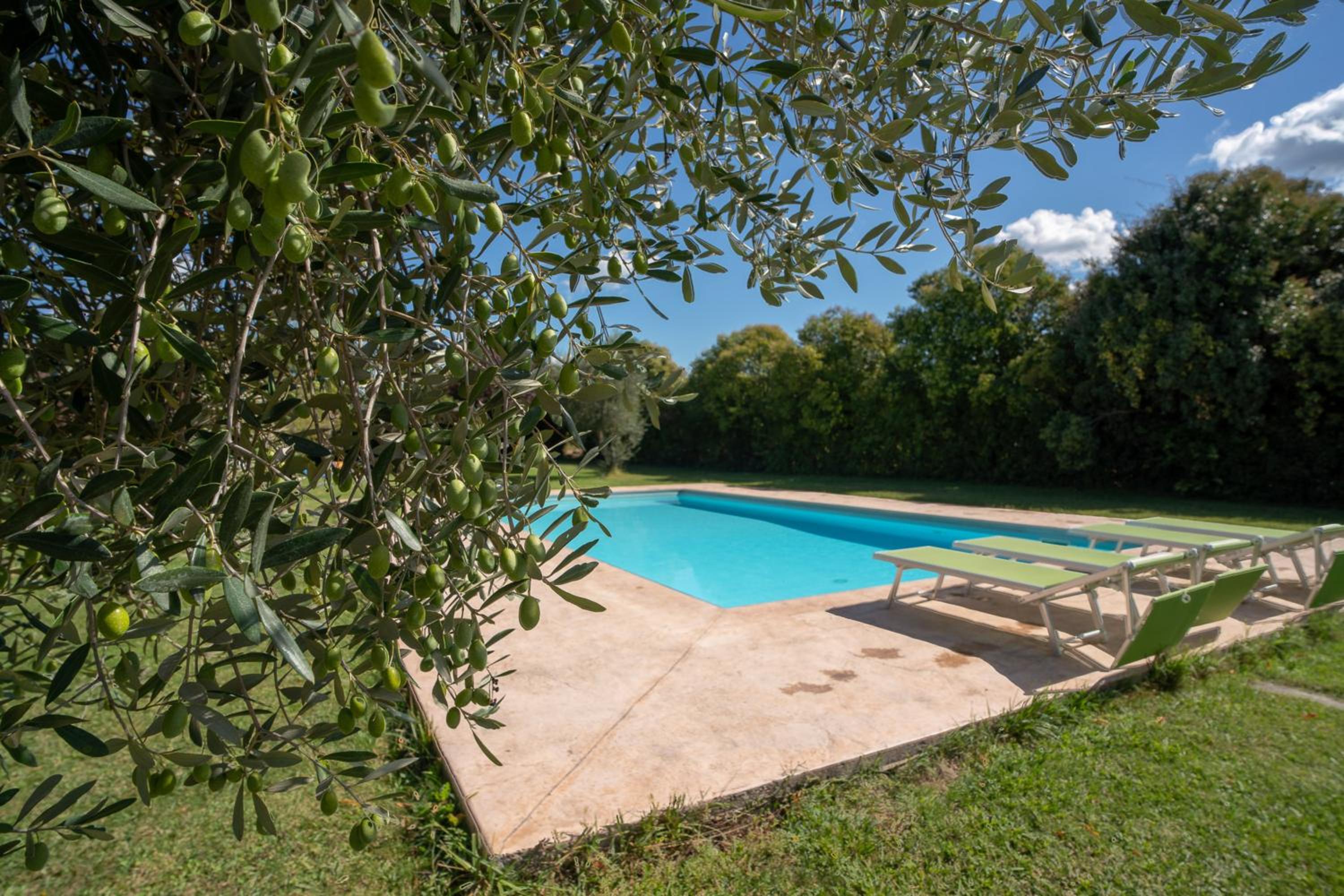 Superior Villa photo 2