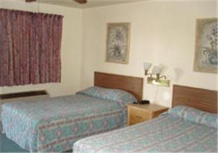 Double Studio with Two Double Beds photo 2