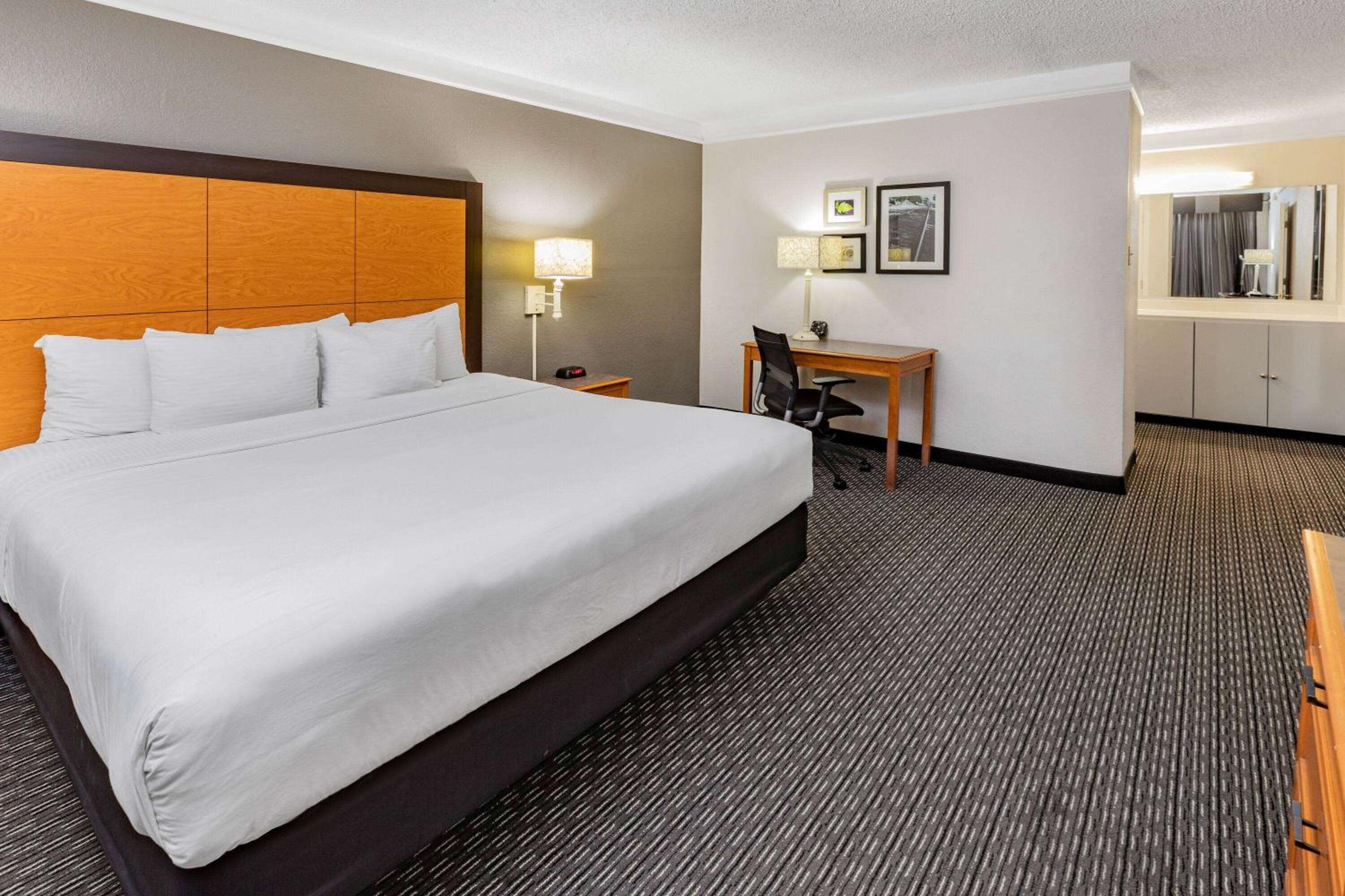 One-Bedroom King Suite - Non-Smoking - Photo 6