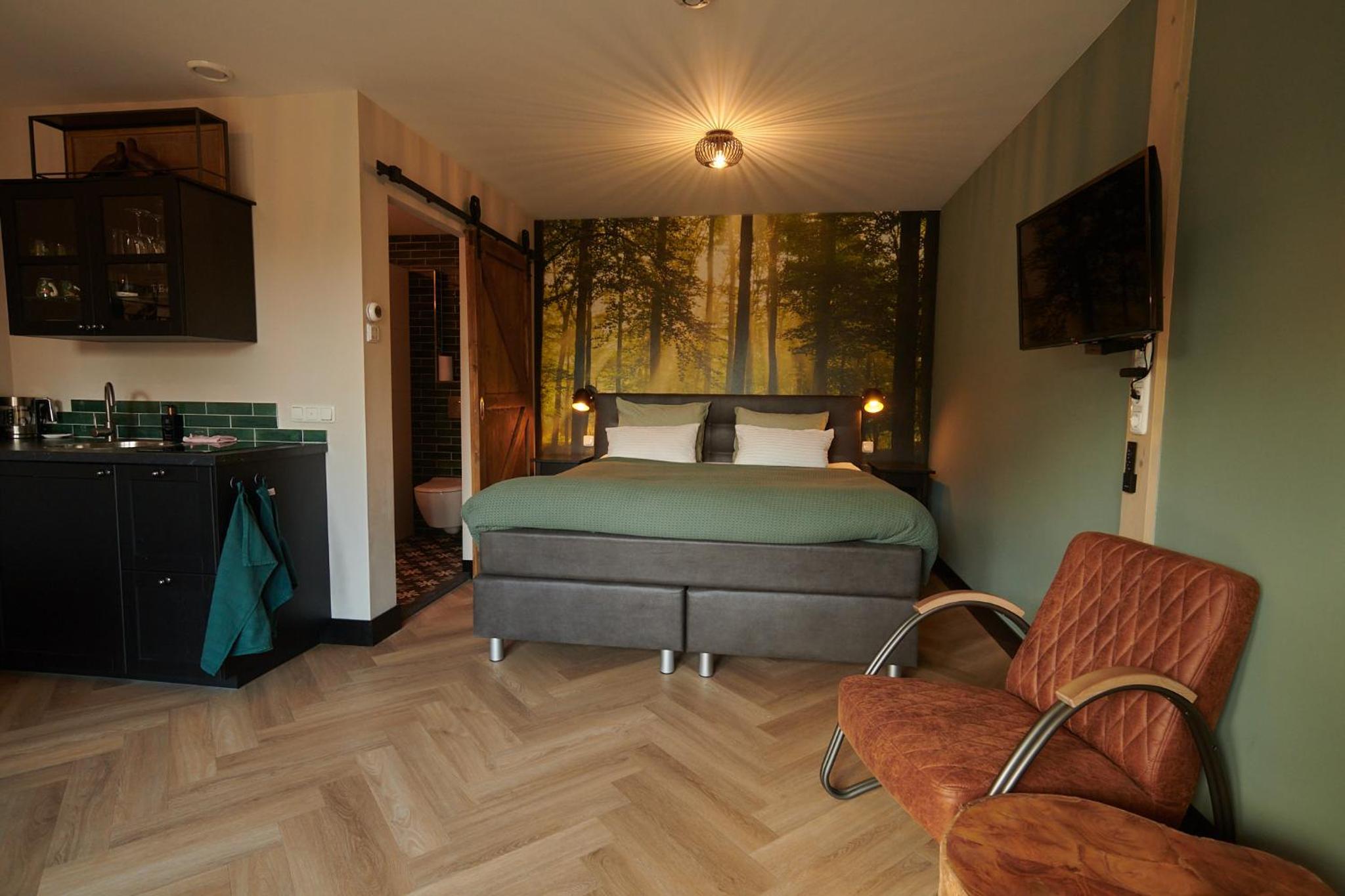 Deluxe King Room photo 1