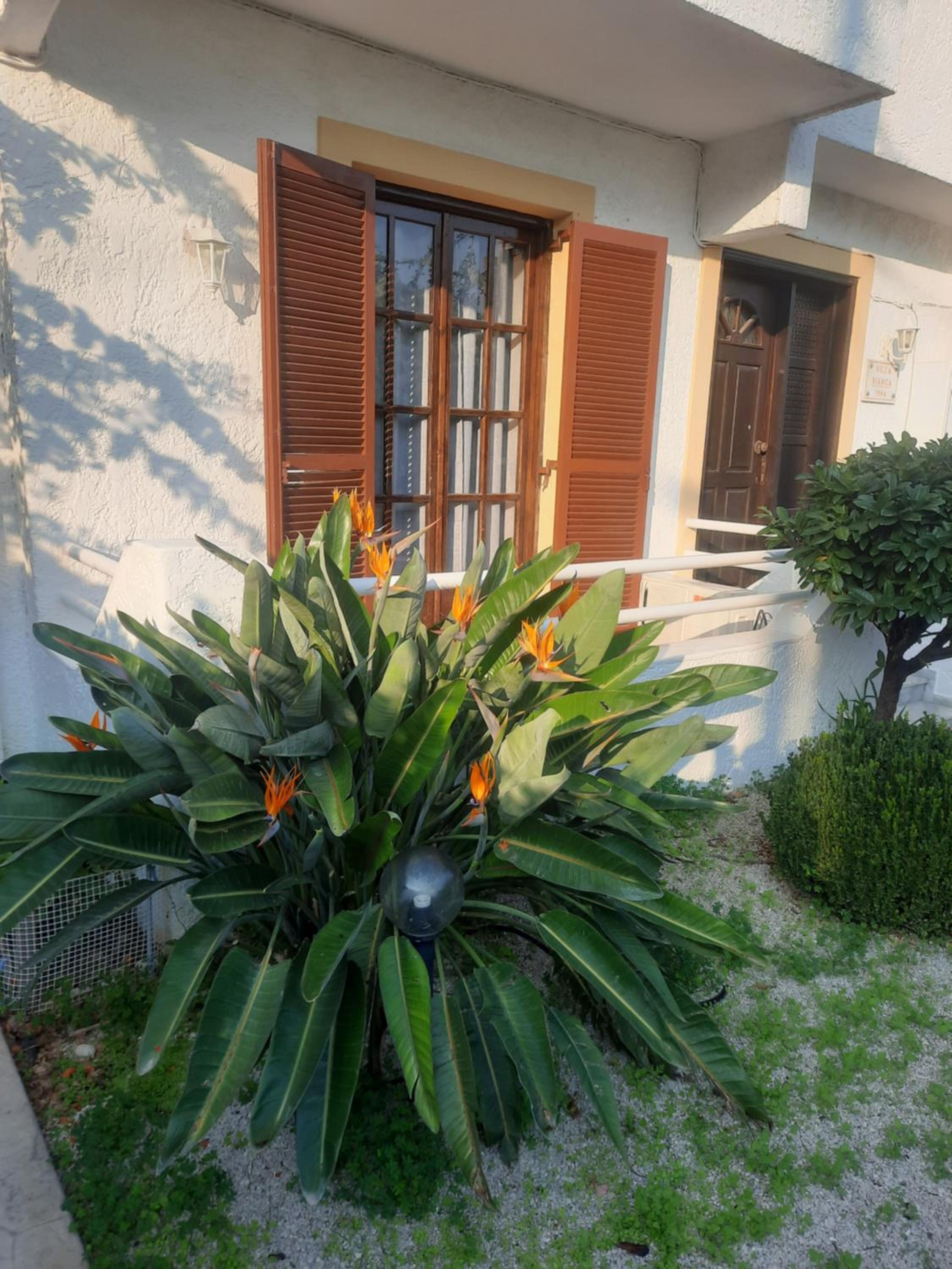 Deluxe Two-Bedroom Apartment with Garden View photo 3
