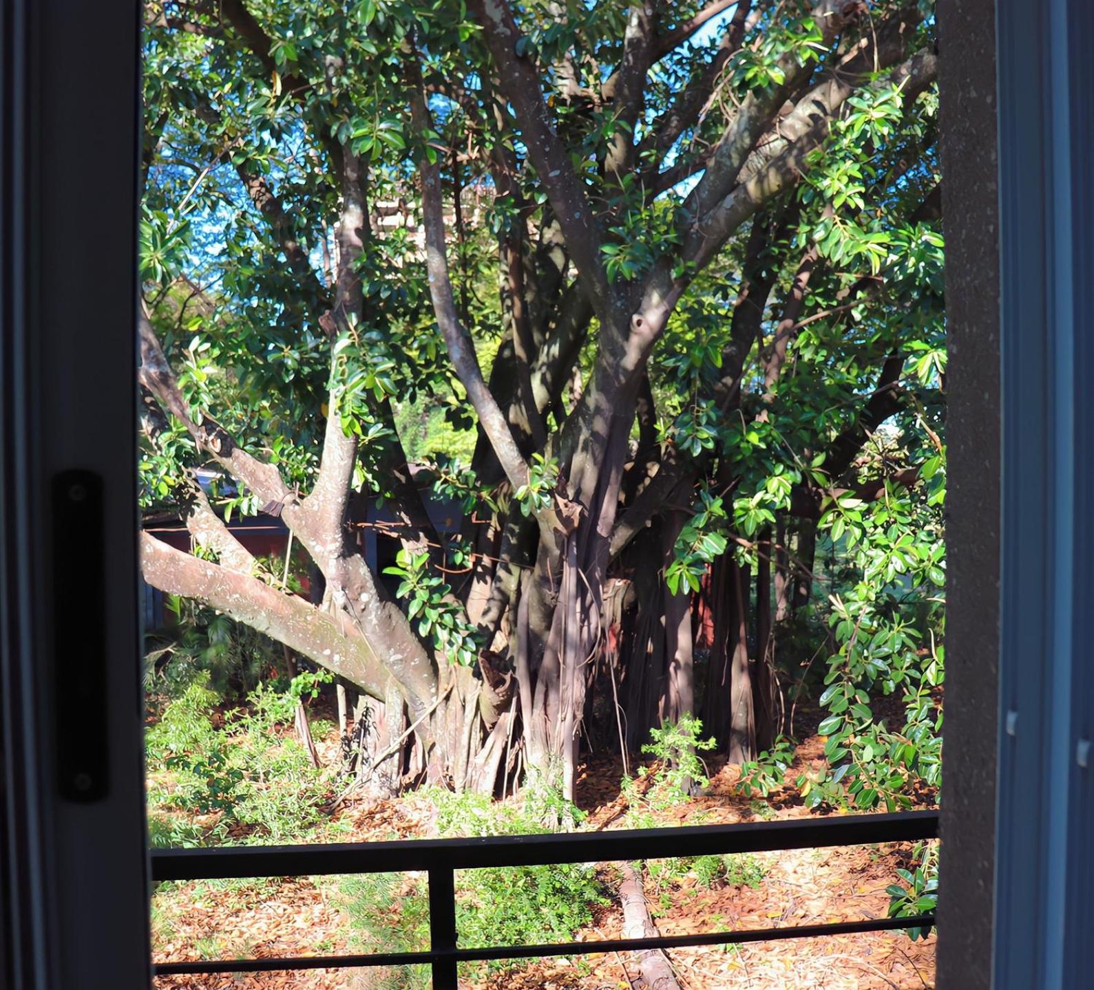 Apartment with Garden View