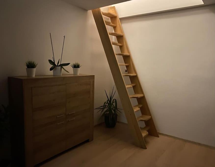 One-Bedroom Apartment photo 3