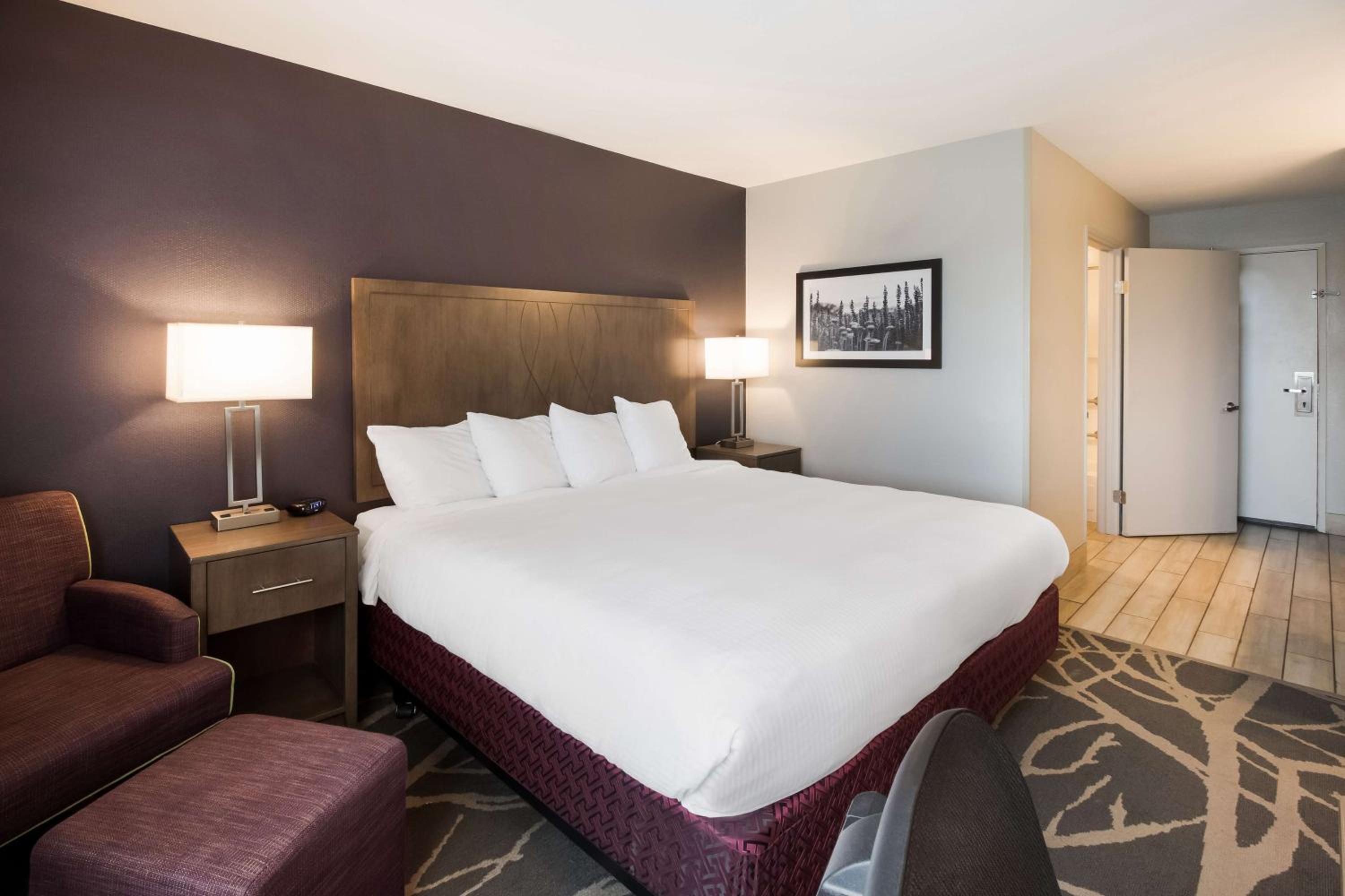 King Room - Mobility Accessible with Bathtub - Photo 8
