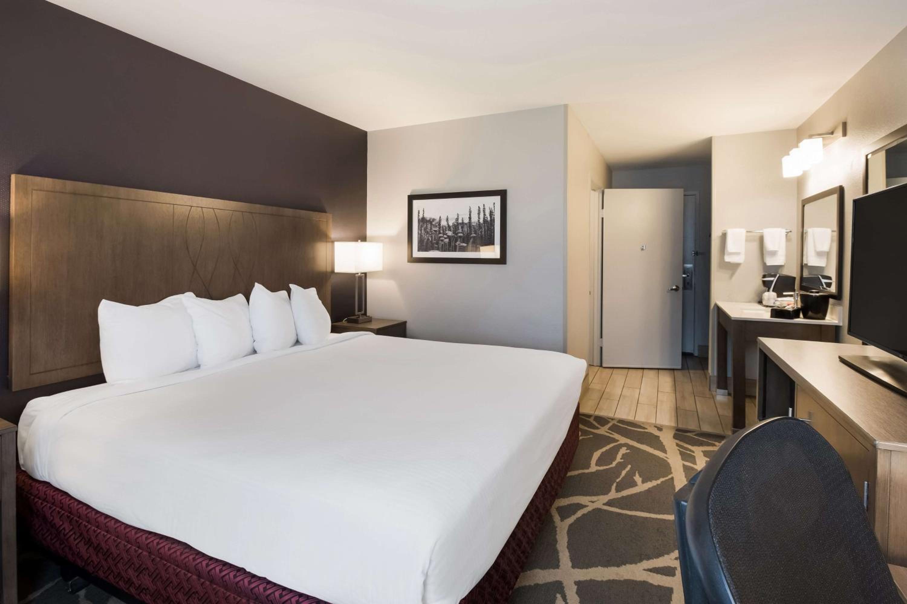 King Room with Roll-in Shower - Disability Access/Non-Smoking - Photo 9