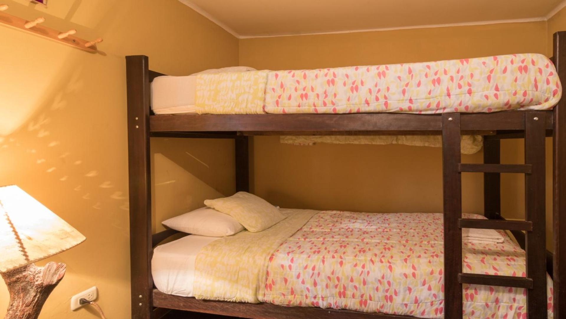 Bed in 4-Bed Mixed Dormitory Room photo 3