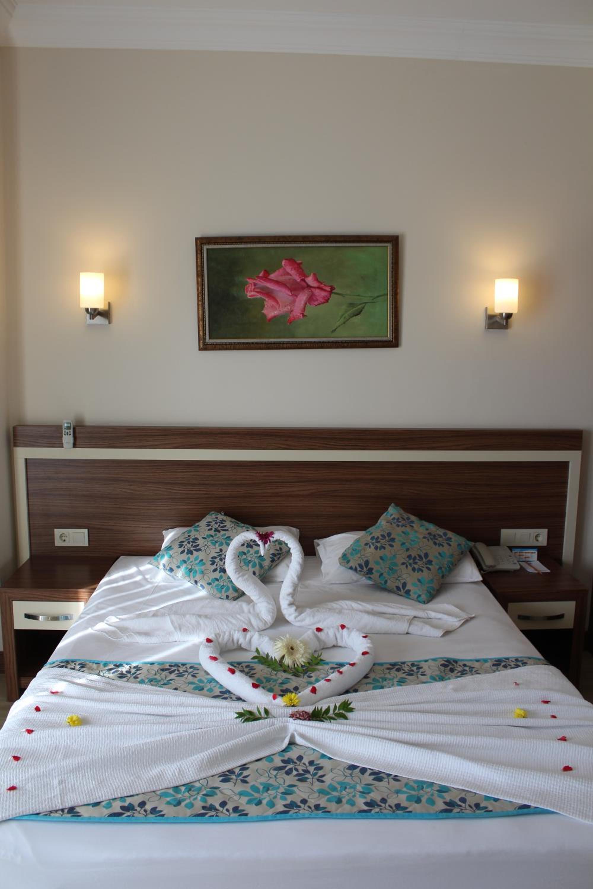 Large Single Room photo 2