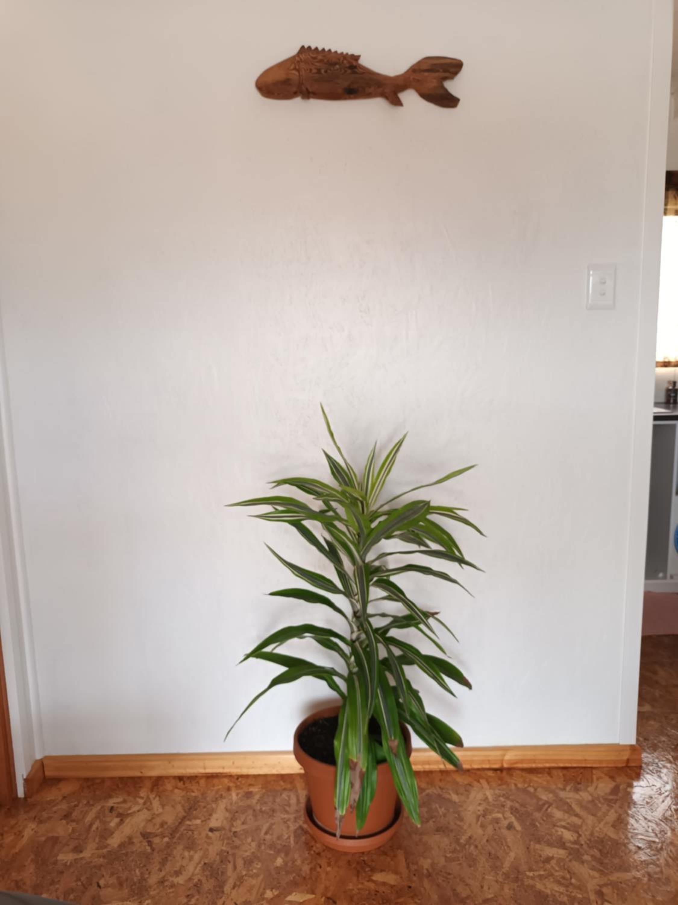 One-Bedroom Apartment photo 3