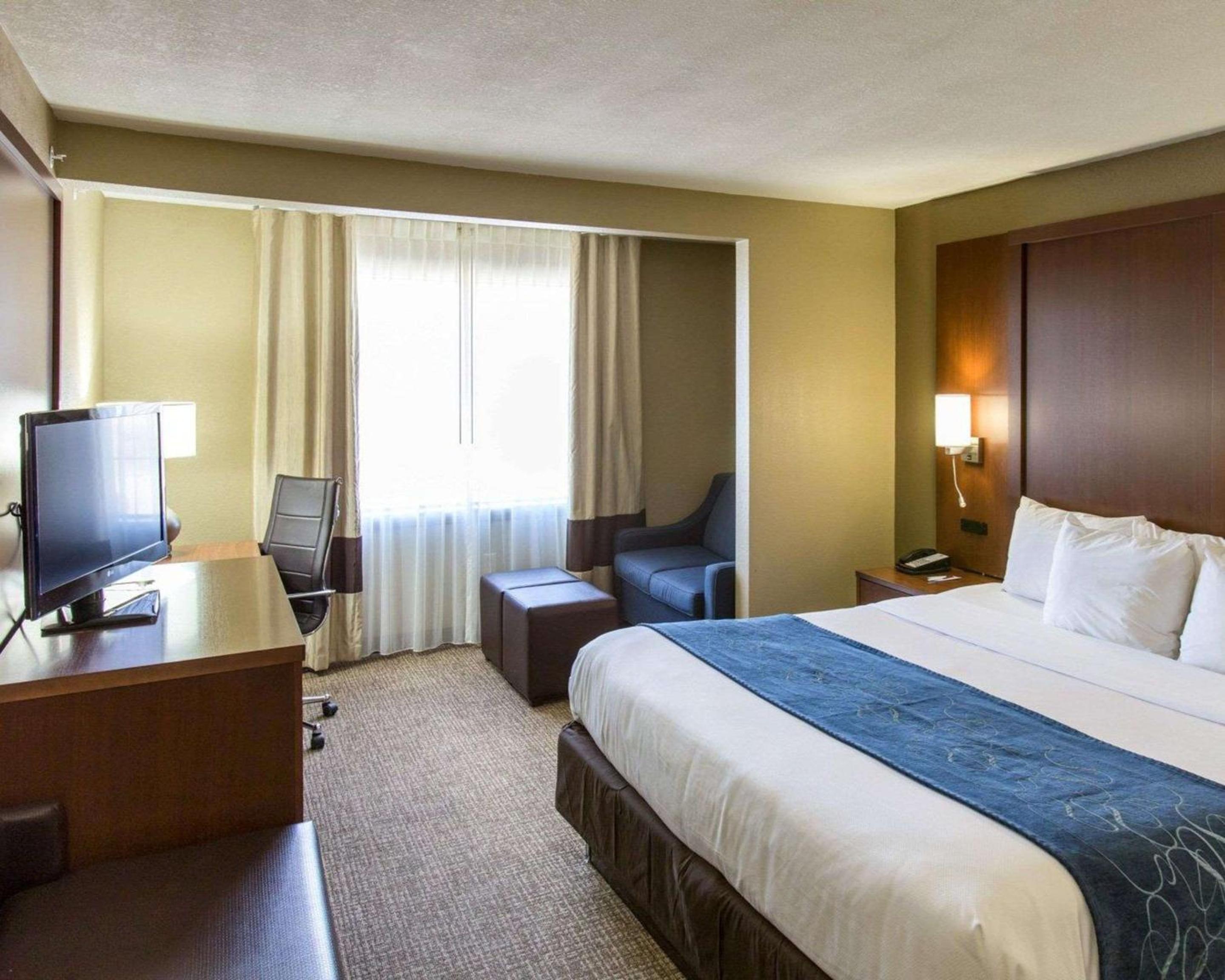 King Suite - Non-Smoking - Photo 4
