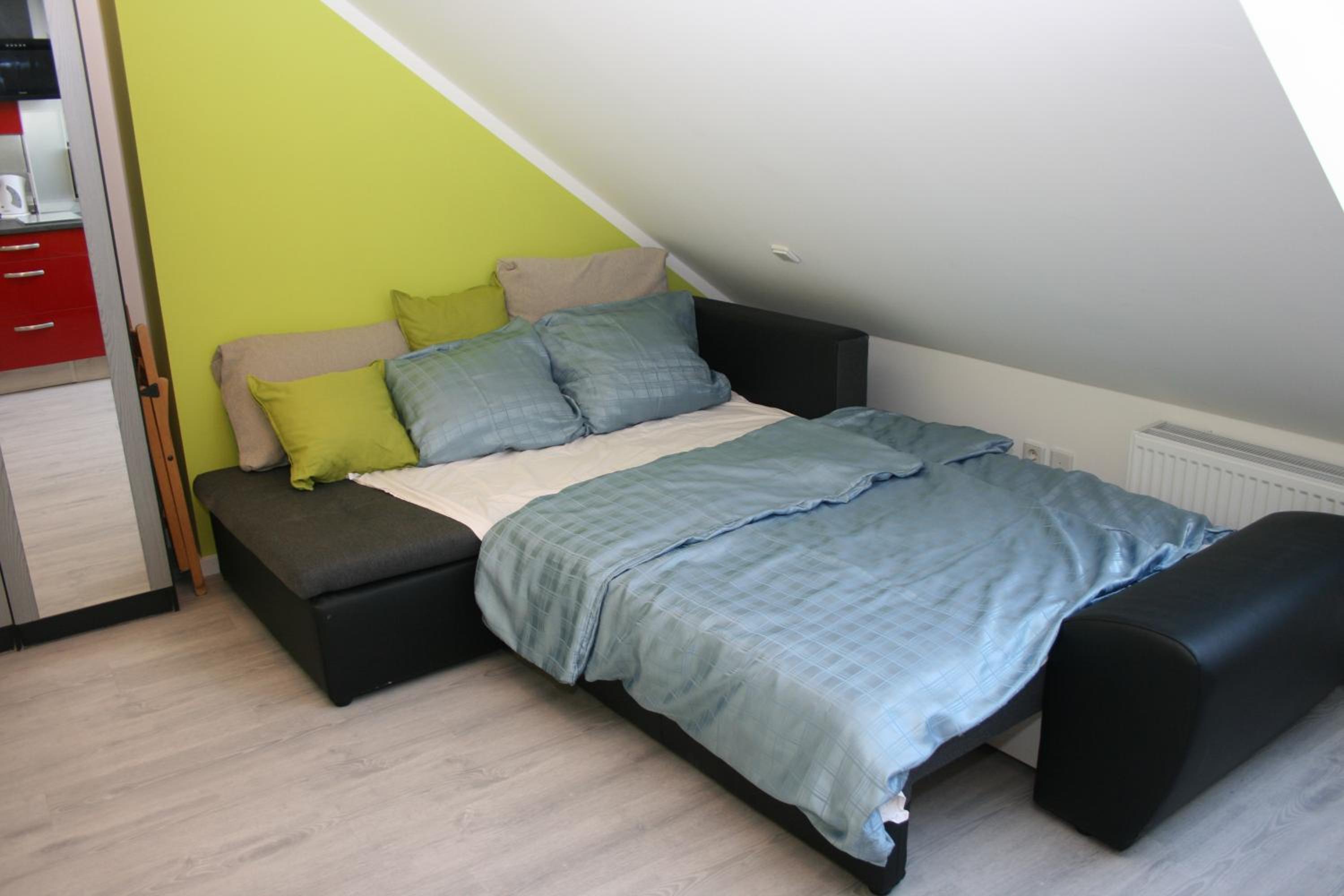 One-Bedroom Apartment photo 3