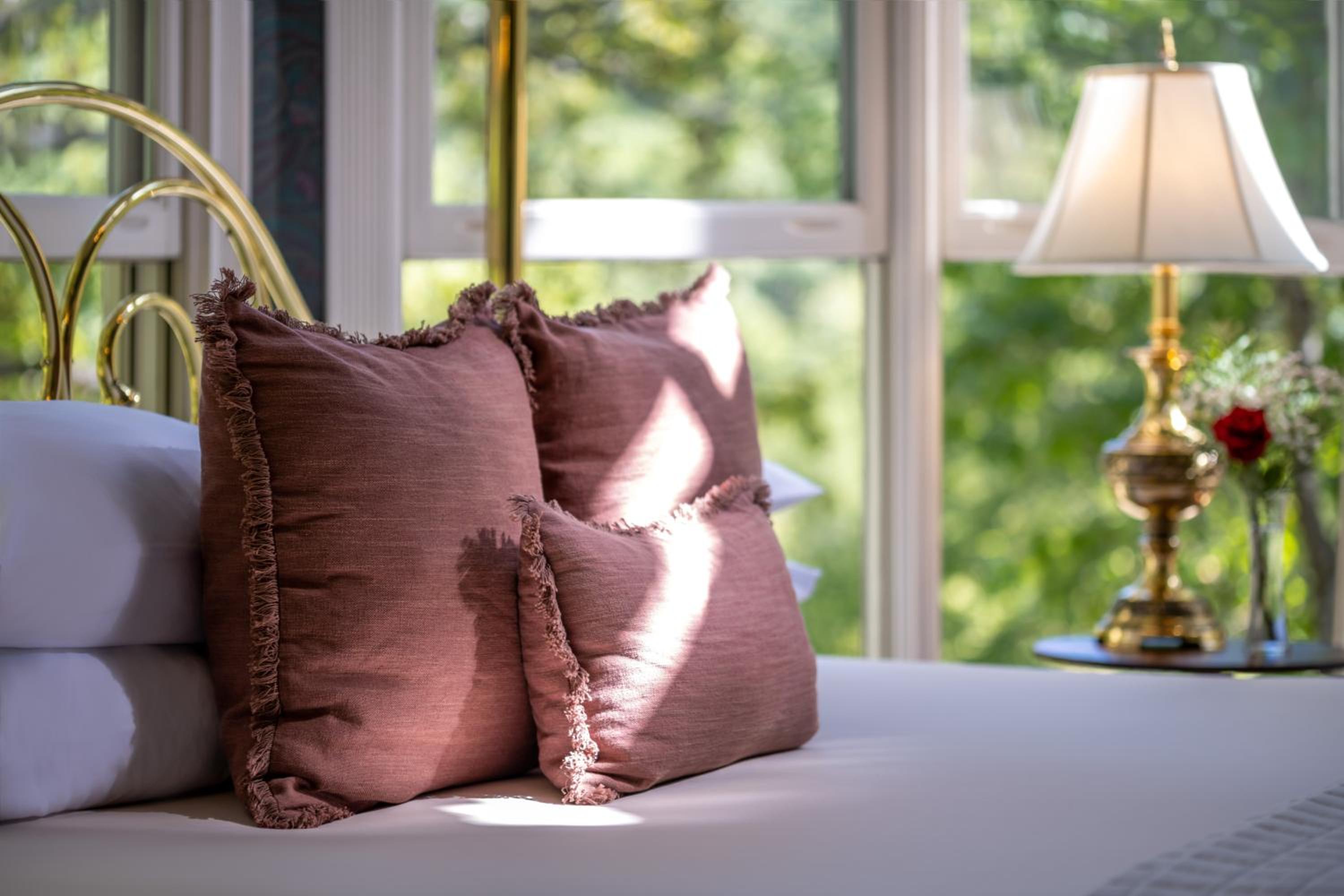 Tree-Top Suite  photo 2