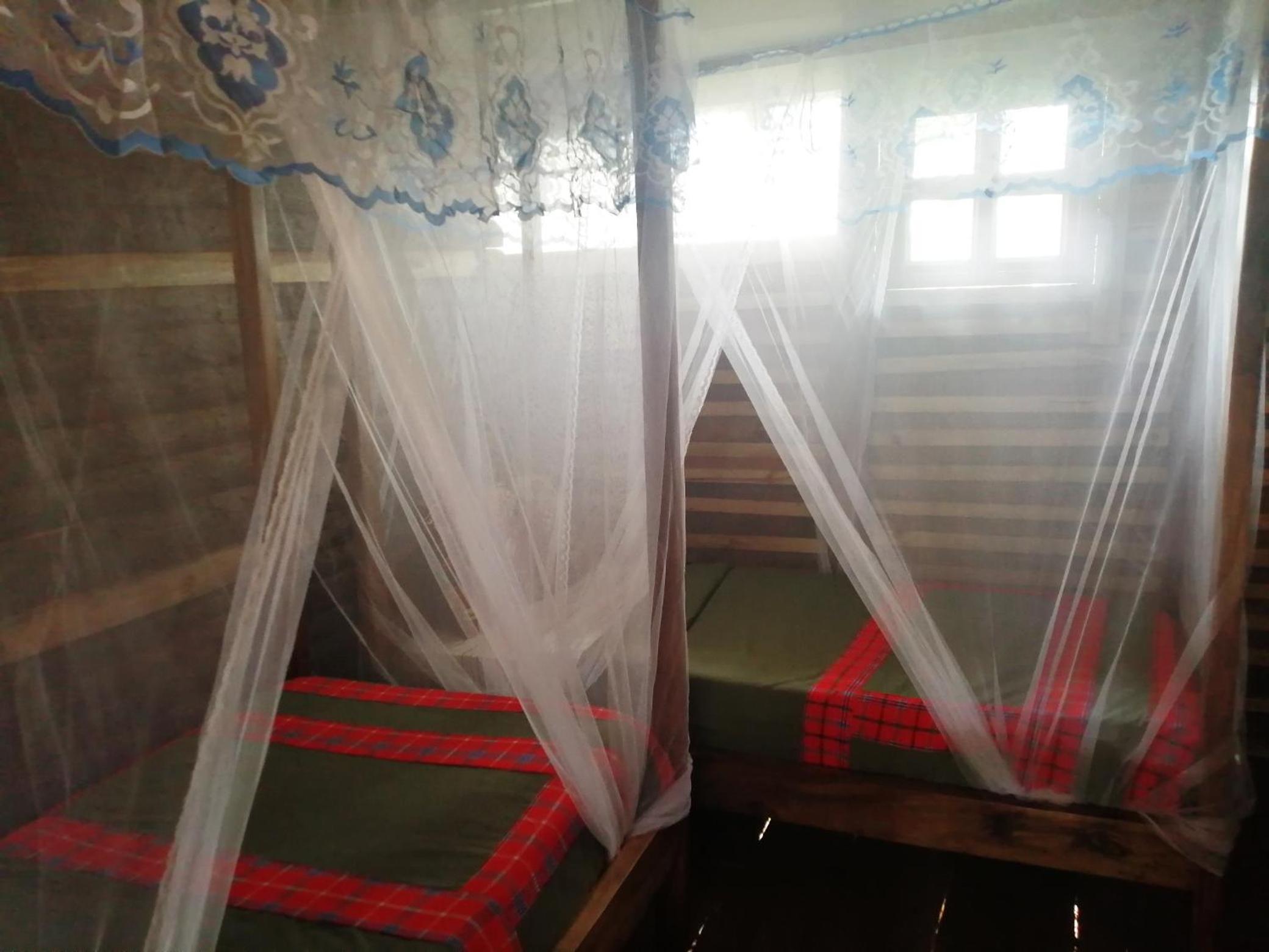 Double or Twin Room photo 2