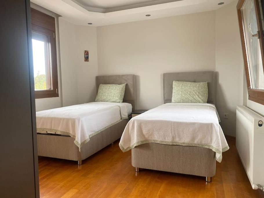 Villa photo 1