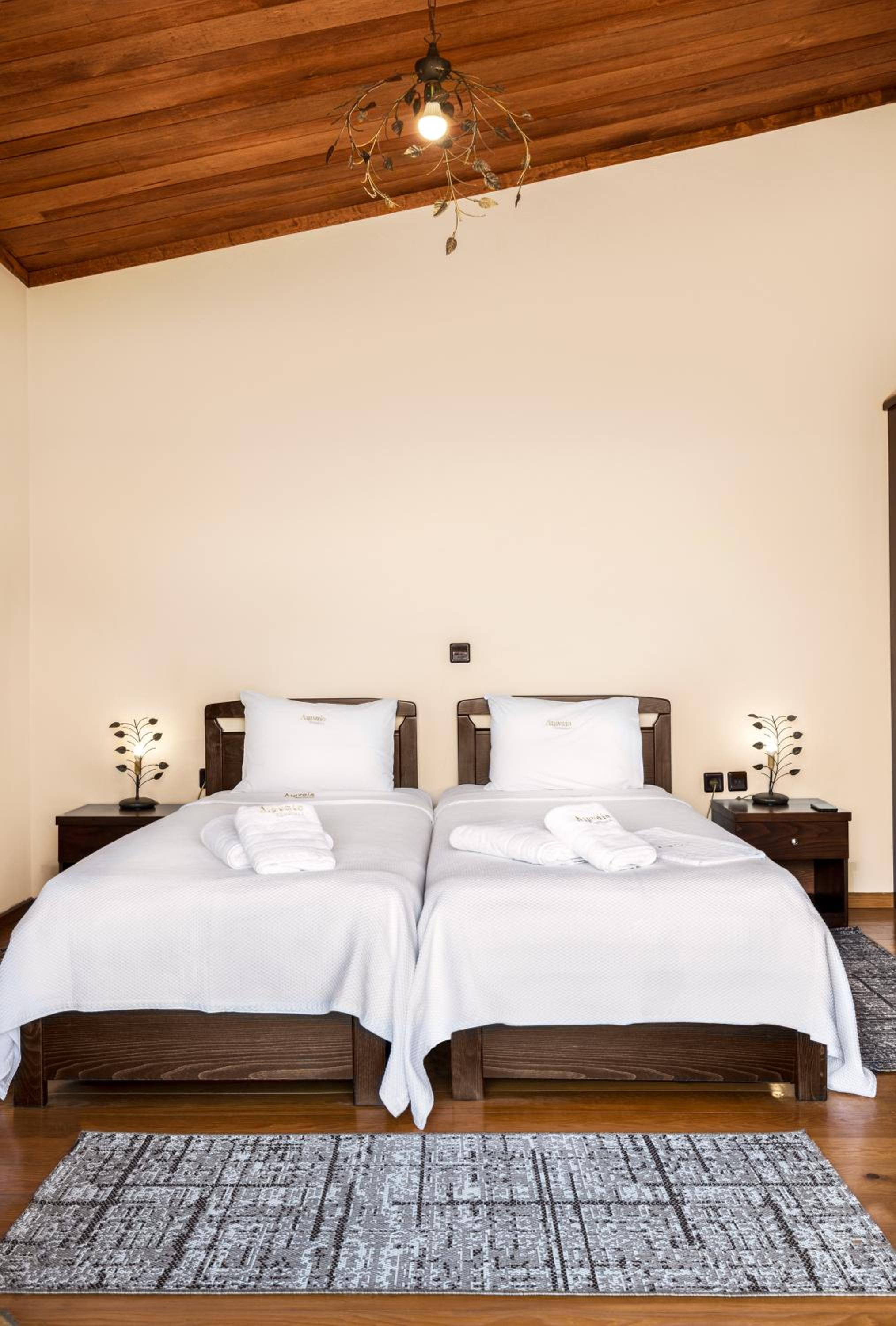 Double or Twin Room with Fireplace - Photo 1