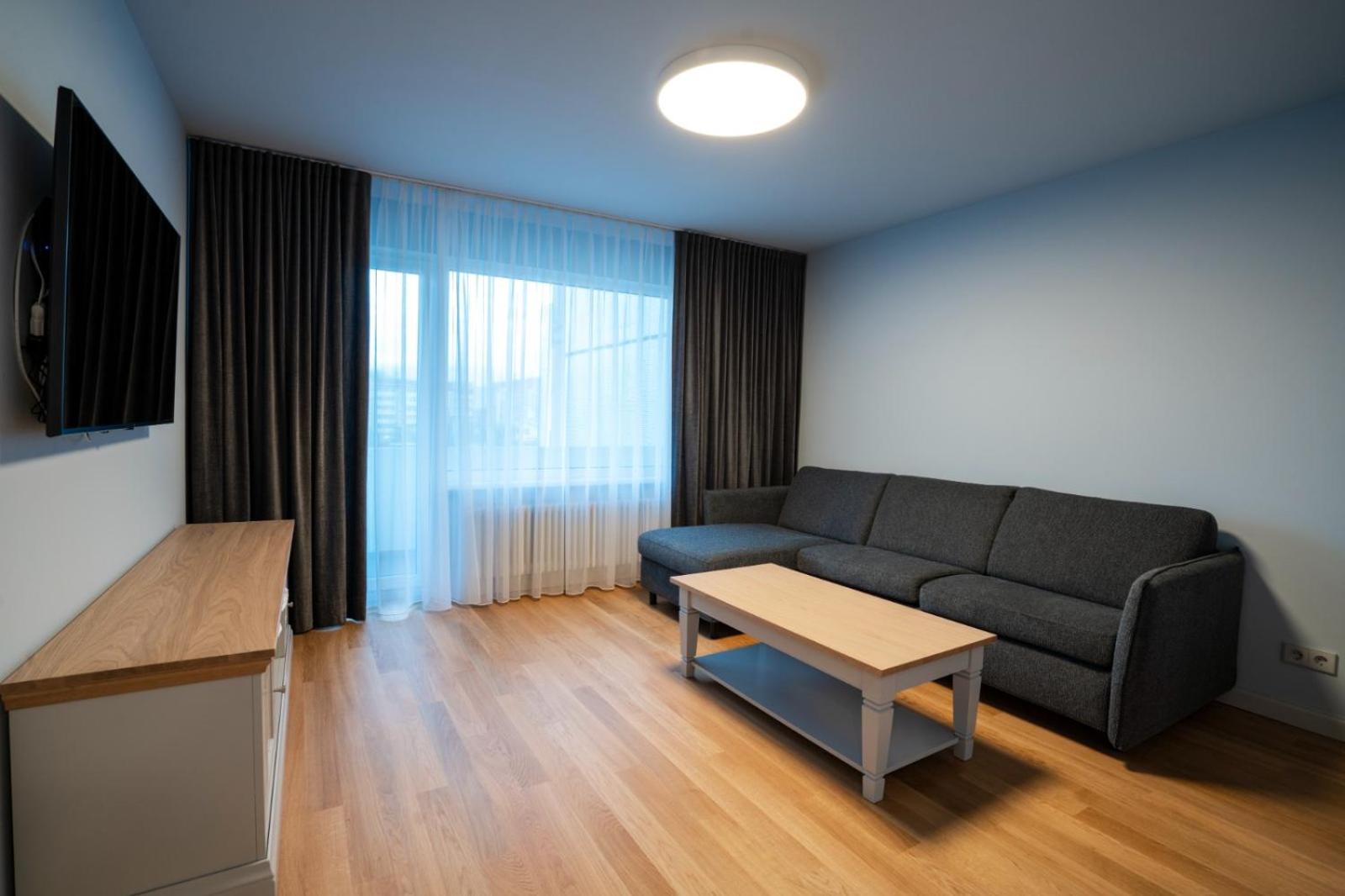 One-Bedroom Apartment - Photo 10