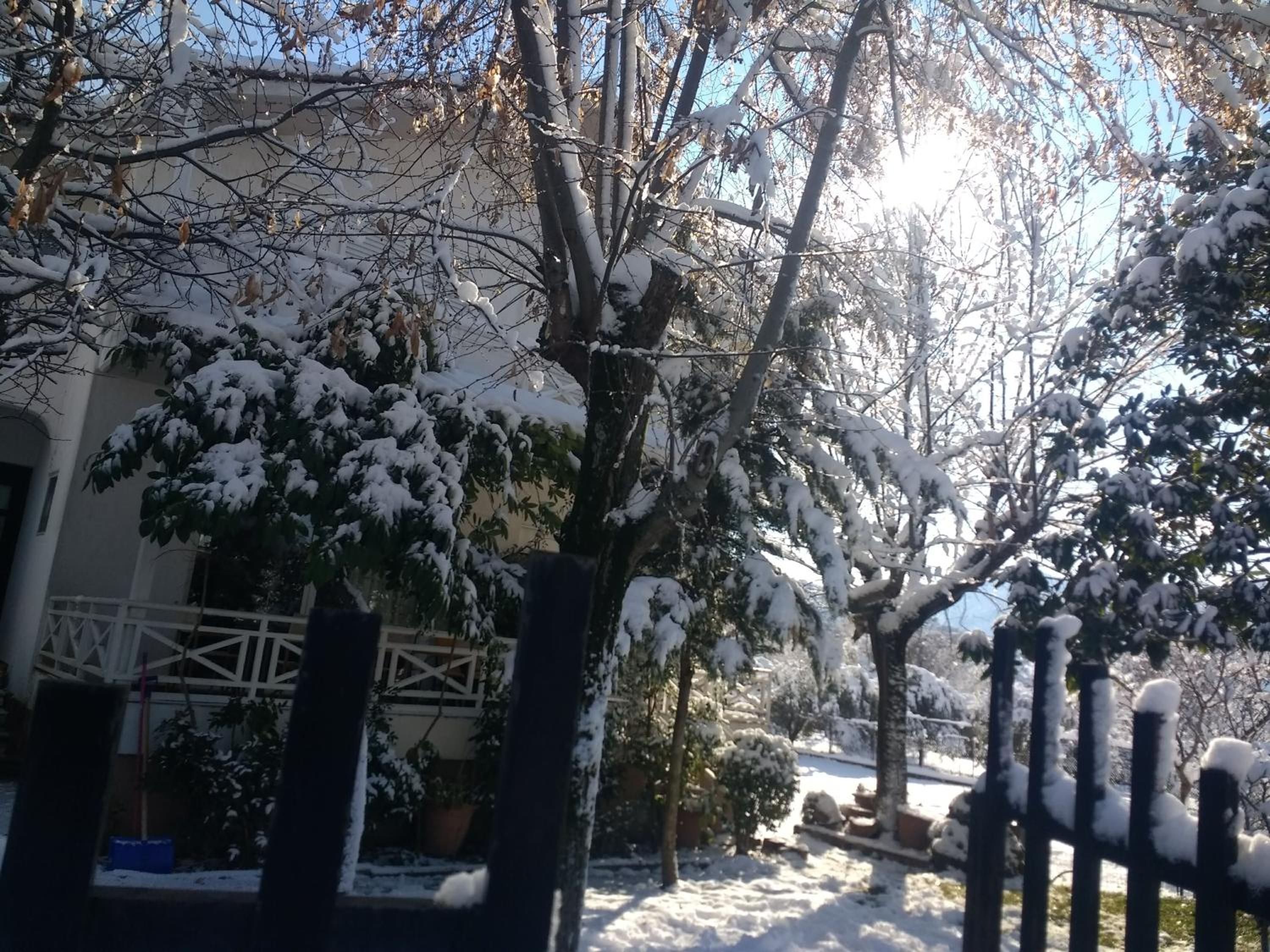Villa - Photo 5