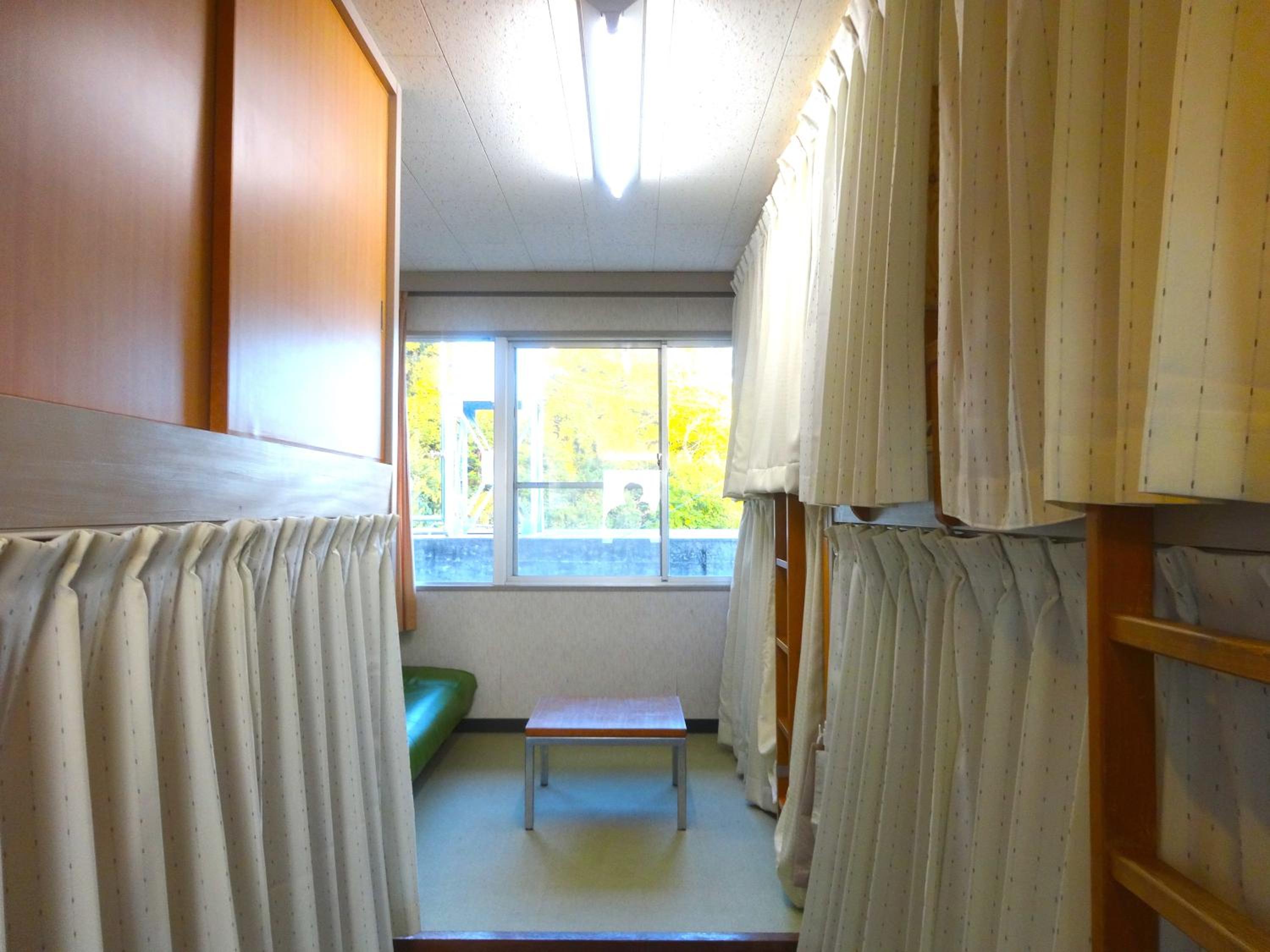 Bunk Bed in 5-Bed Male Dormitory Room  photo 3