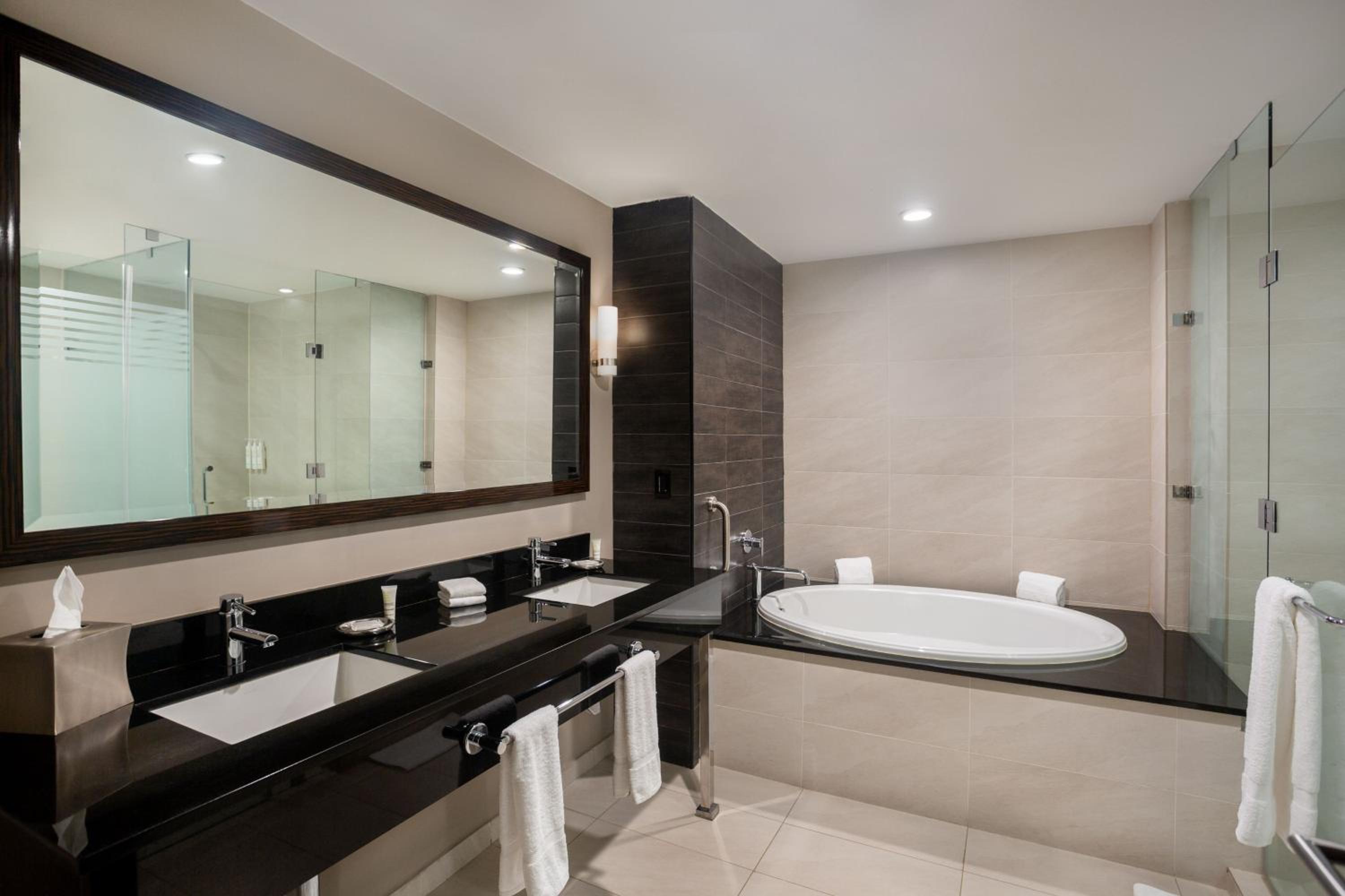 One-Bedroom Master Suite with City View - Photo 1
