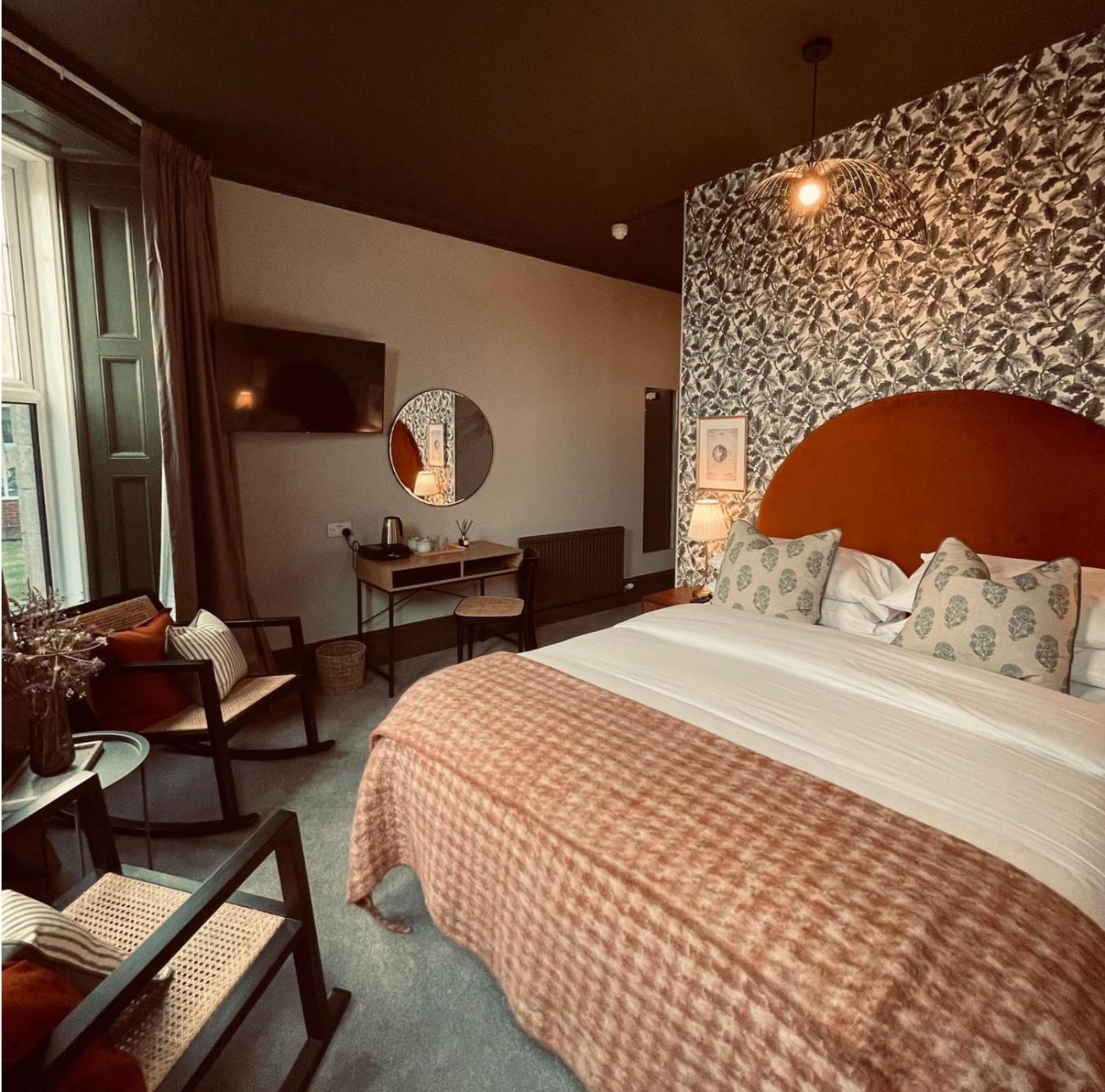 Superior King Room photo 2