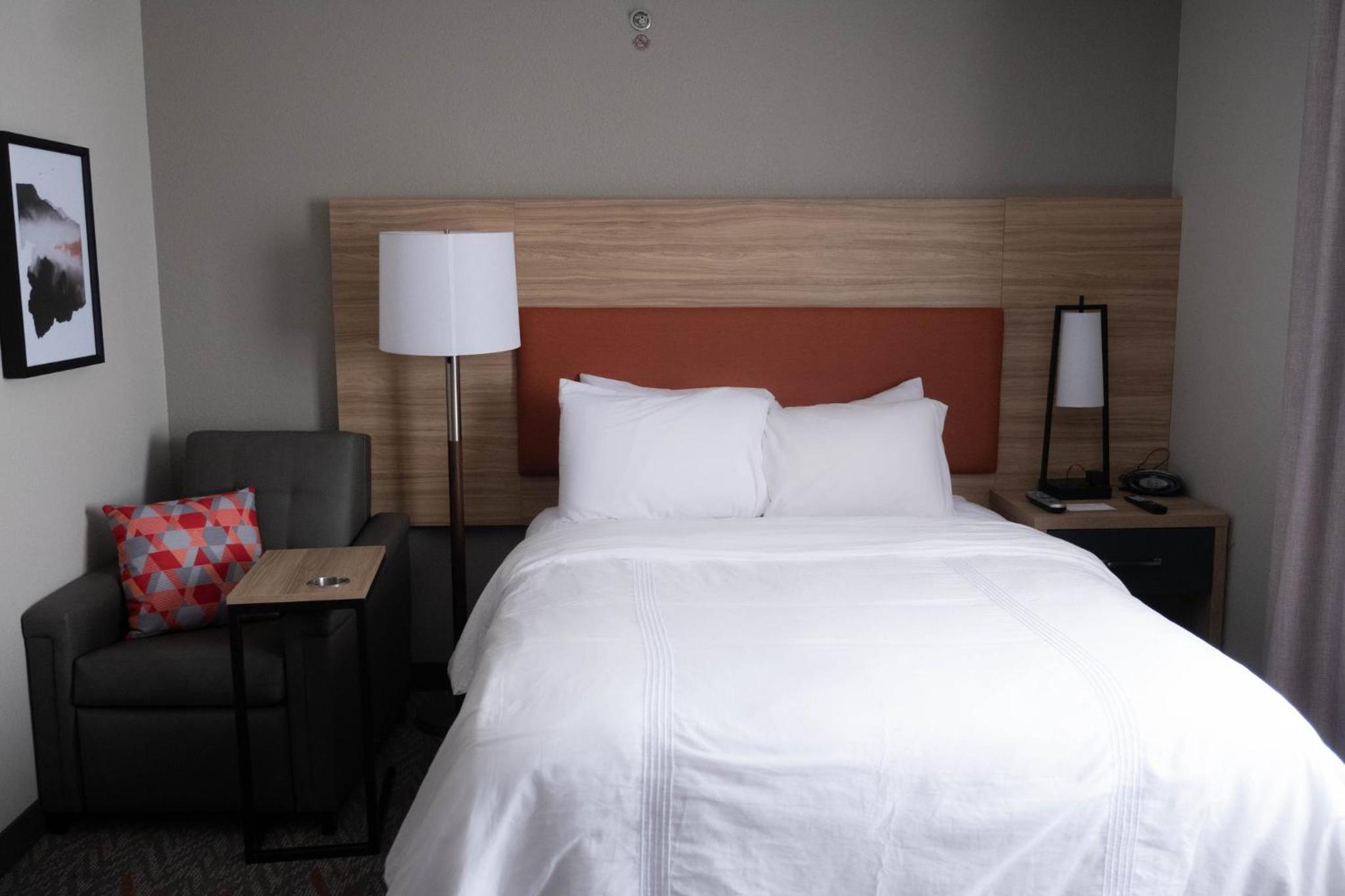 Studio Suite - Photo 4