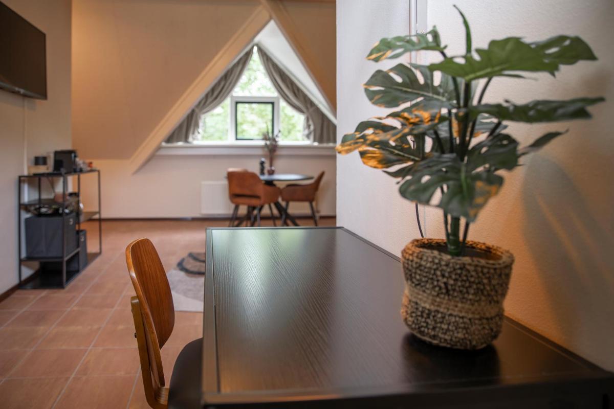 Suite photo 3