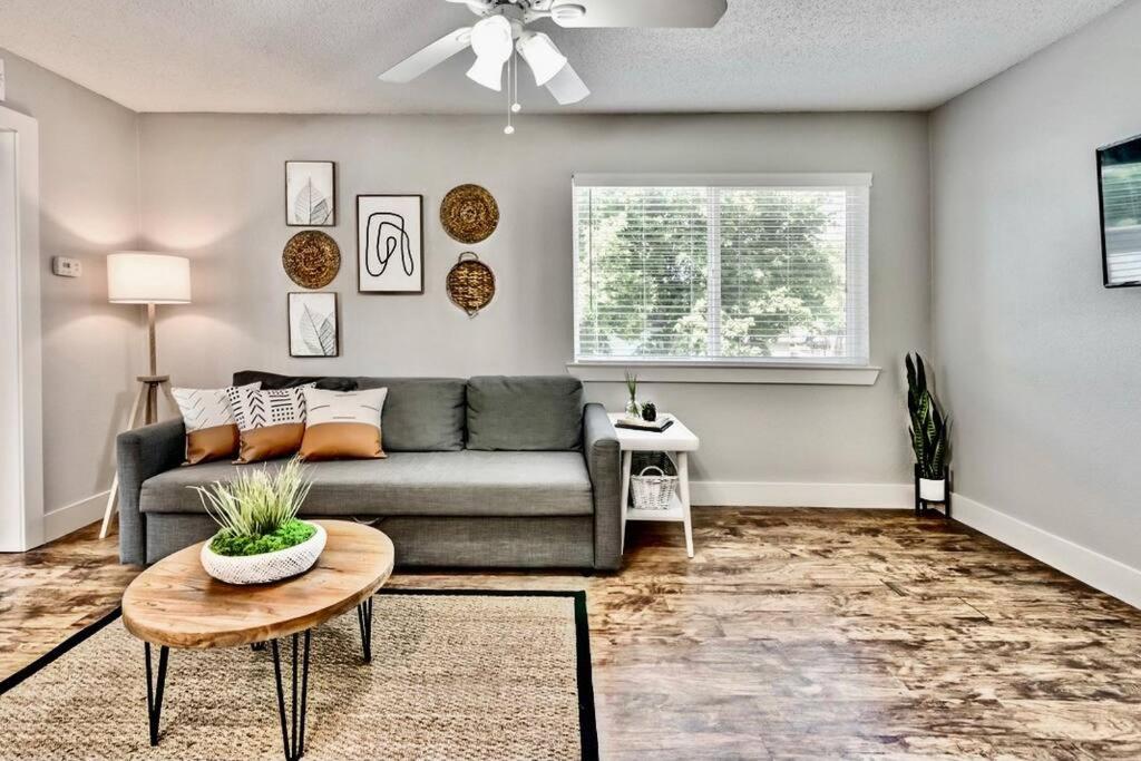 One-Bedroom Apartment photo 3