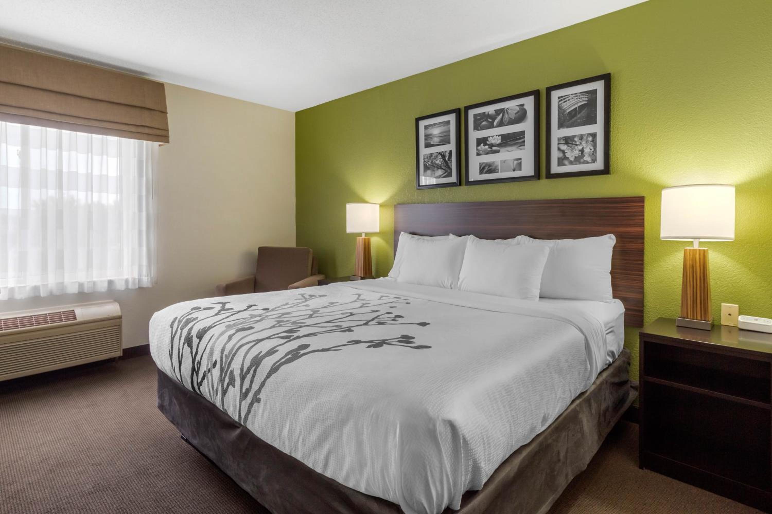 King Room - Non-Smoking - Photo 2