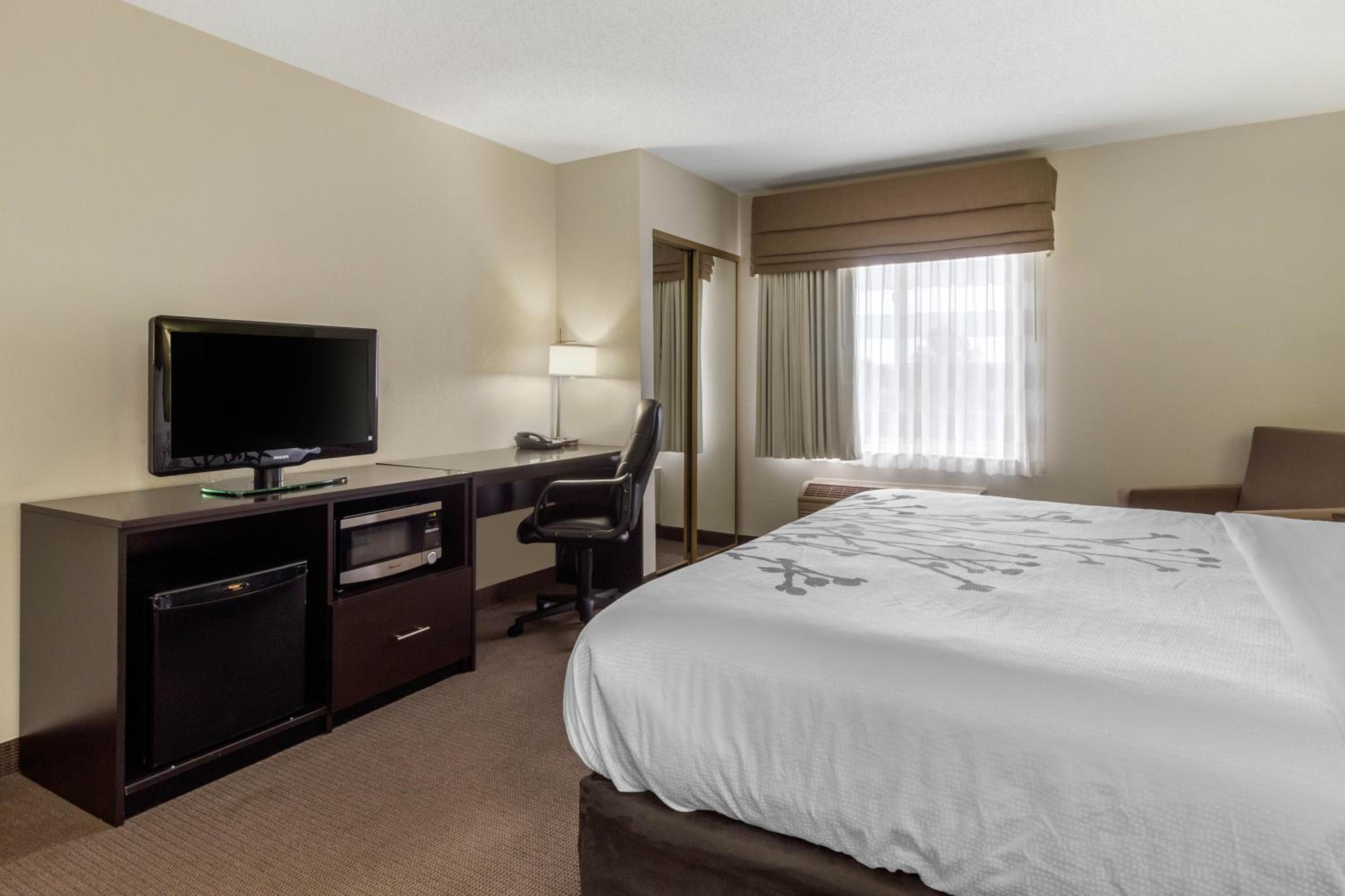 King Room - Non-Smoking - Photo 4