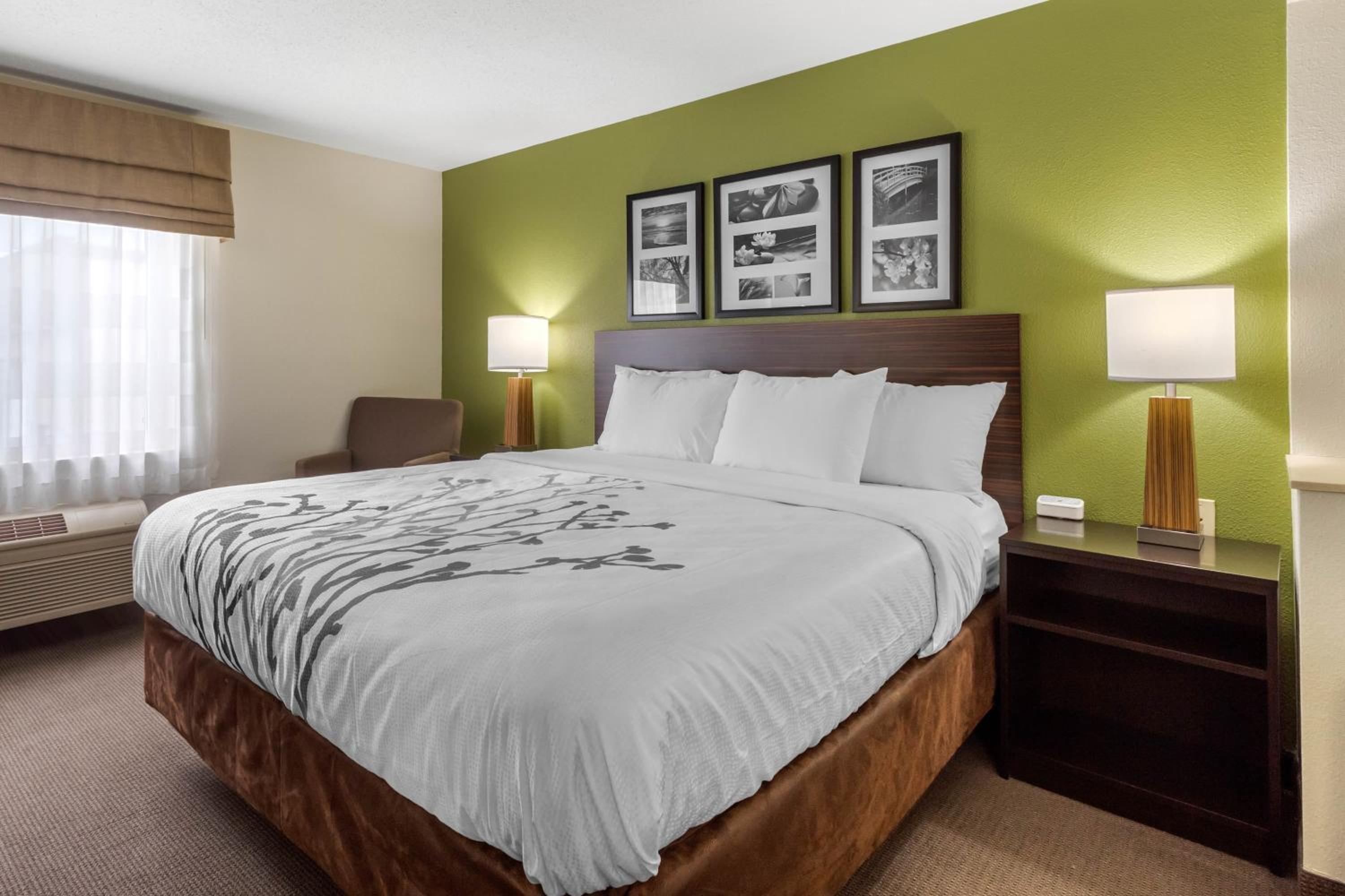 King Suite with Sofa Bed - Non-Smoking - Photo 4