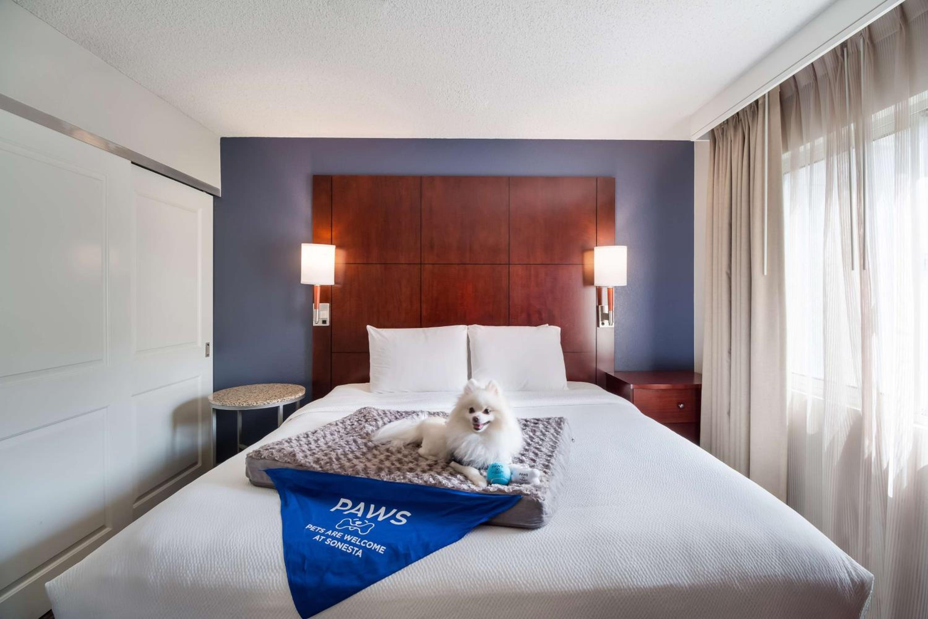 Two Bedroom Suite  with Two King Beds - Photo 2