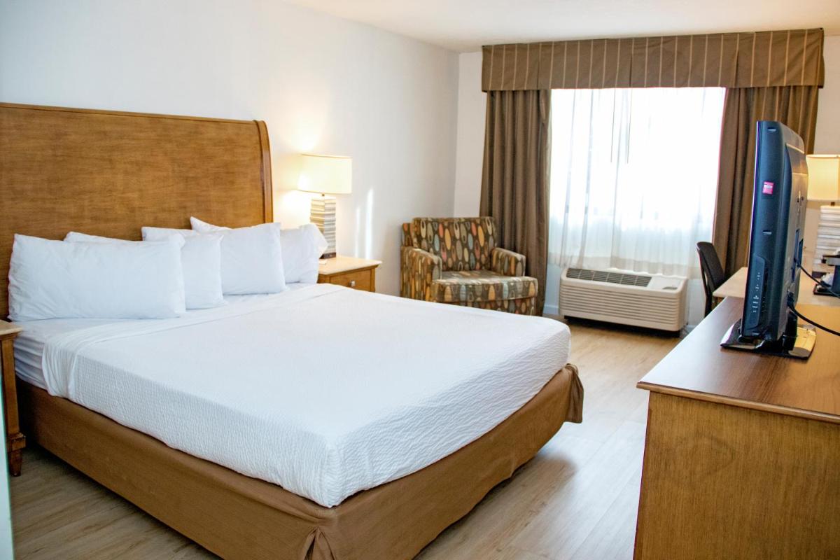 King Room photo 1