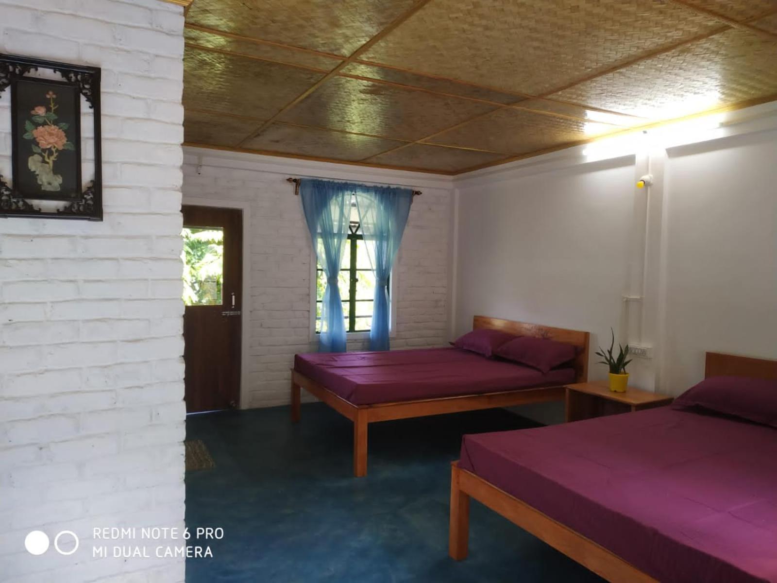 Triple Room photo 1