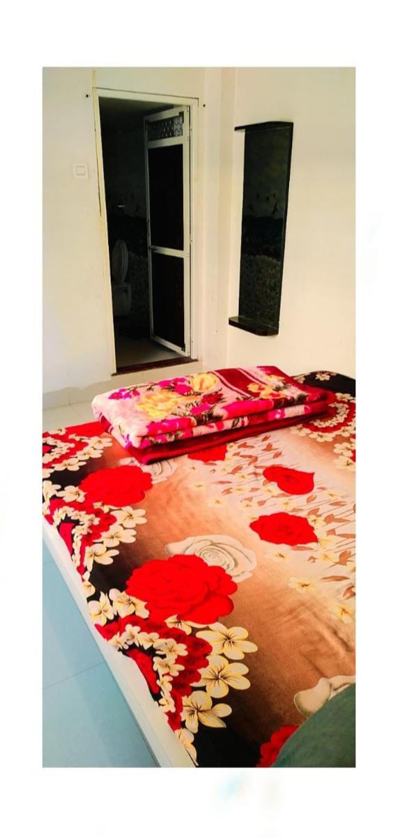 Deluxe Double or Twin Room photo 2