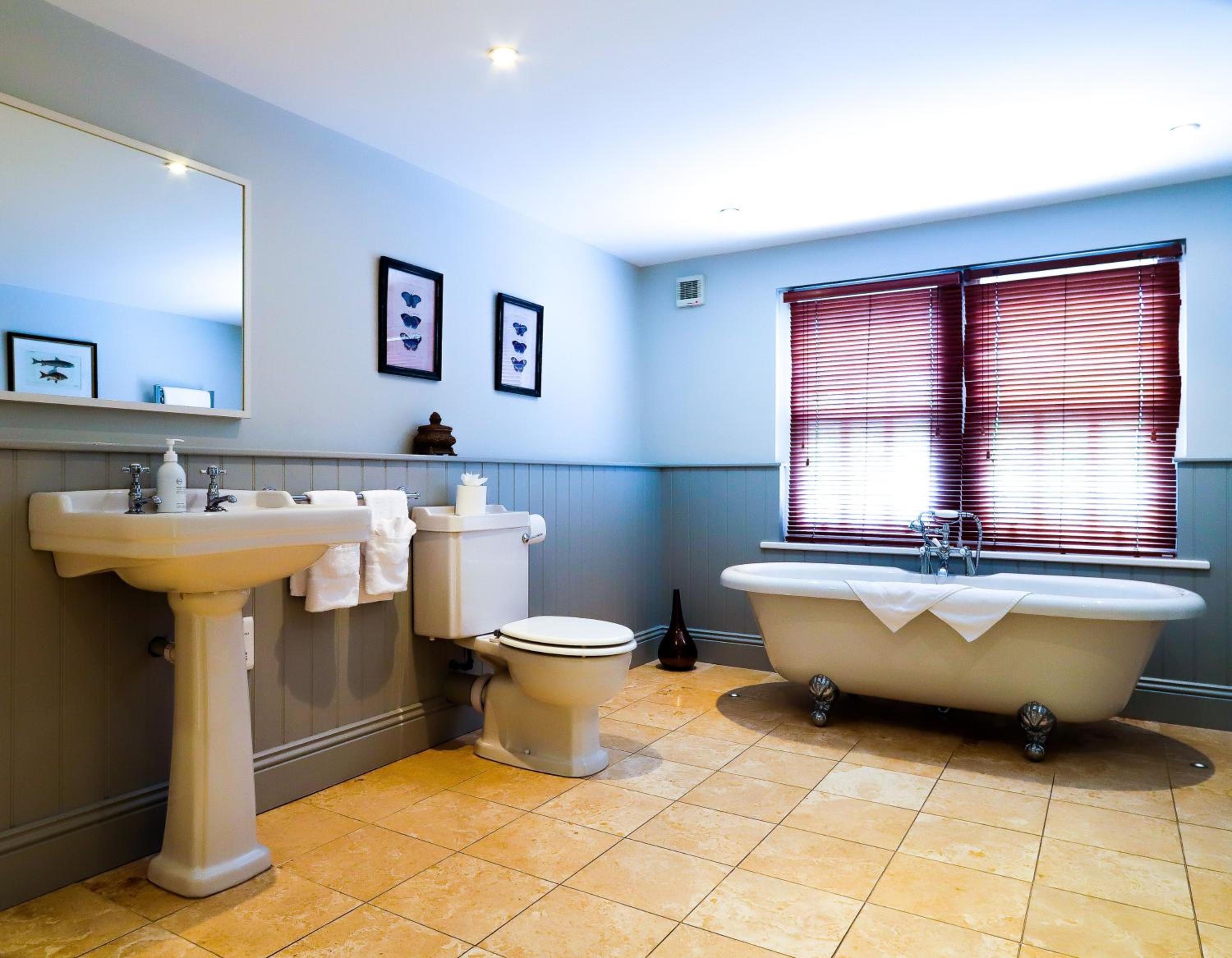 Deluxe King Room - Pet Friendly - Photo 2