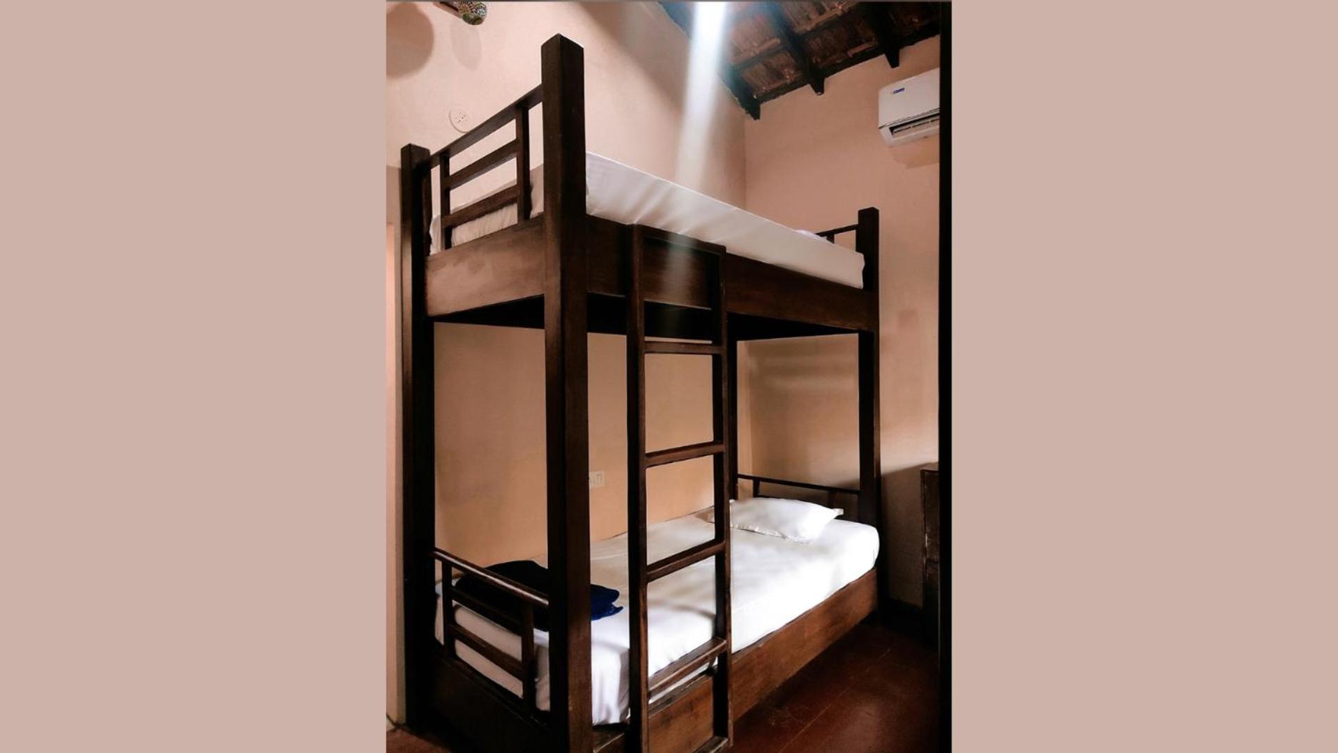 Bunk Bed In Mixed Dormitory Room photo 1