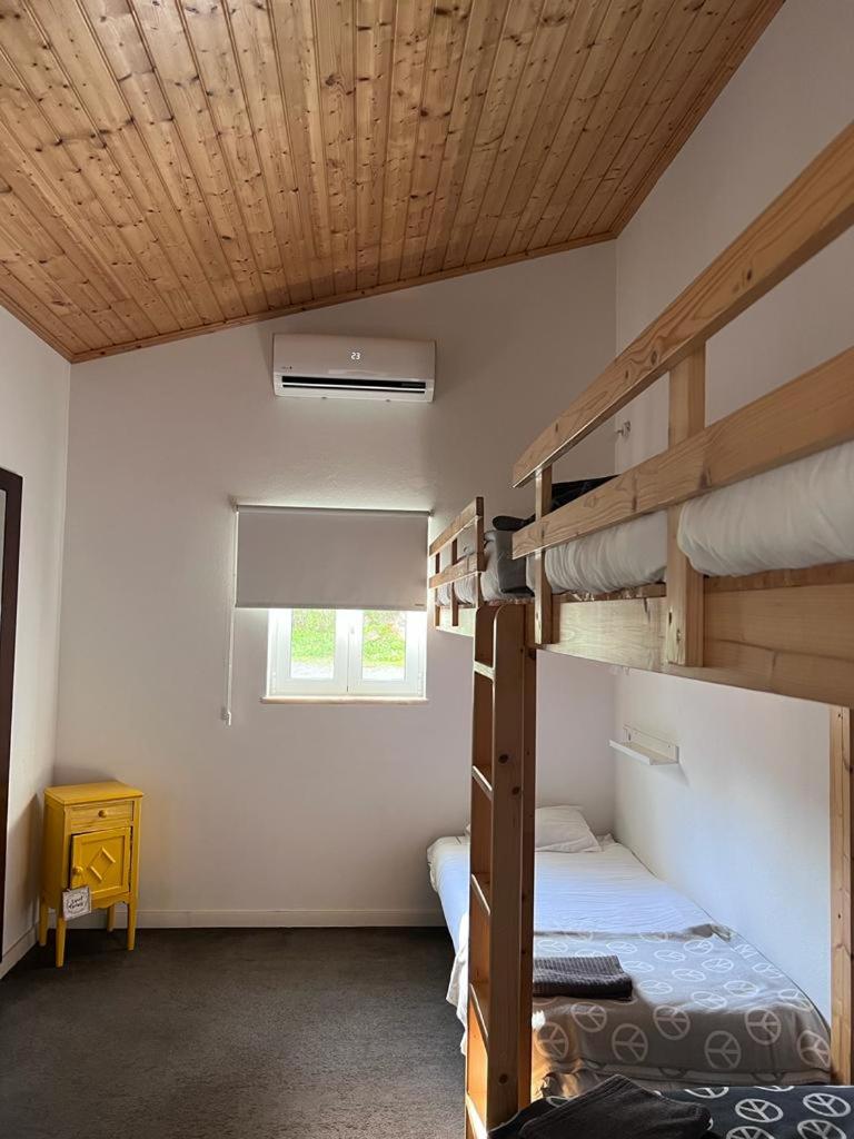 Bunk Bed in Mixed Dormitory Room