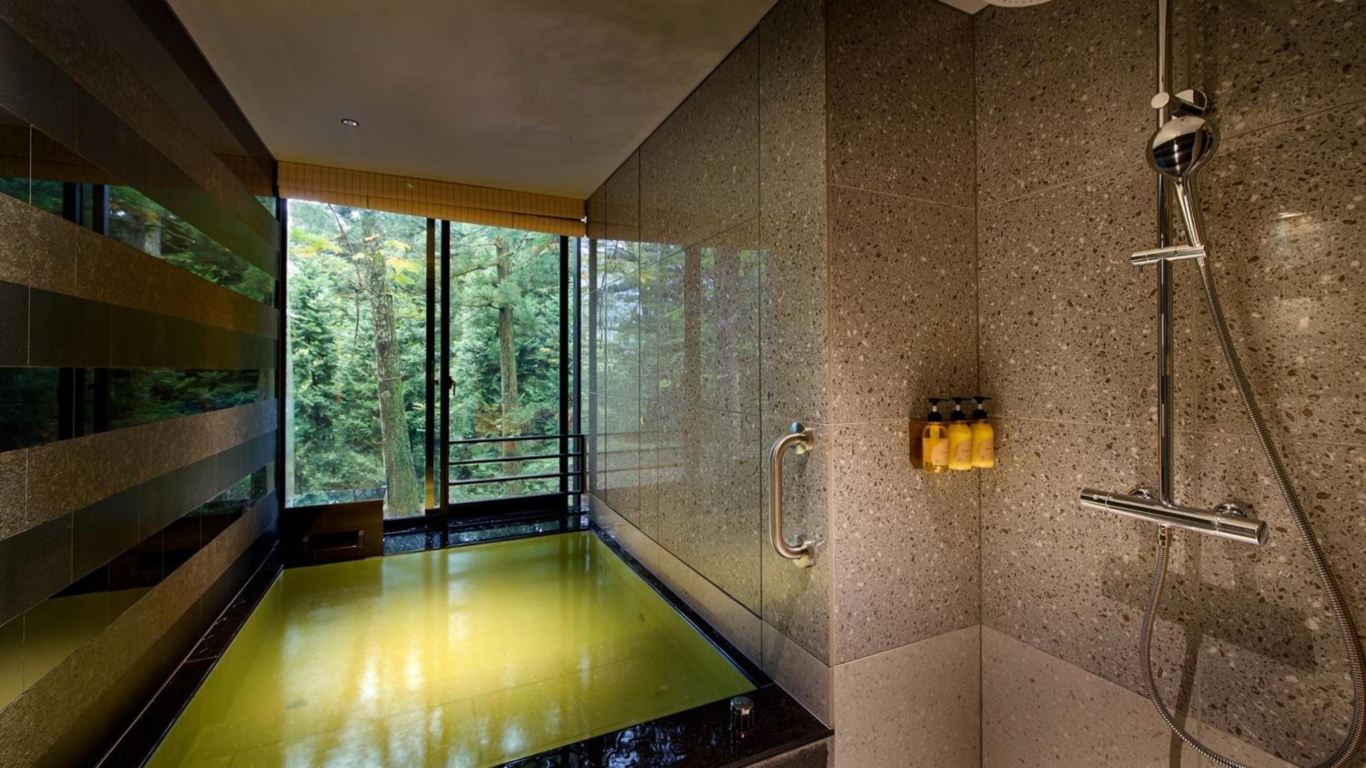 Stylish Suite Twin with Hot Spring Bath  photo 2