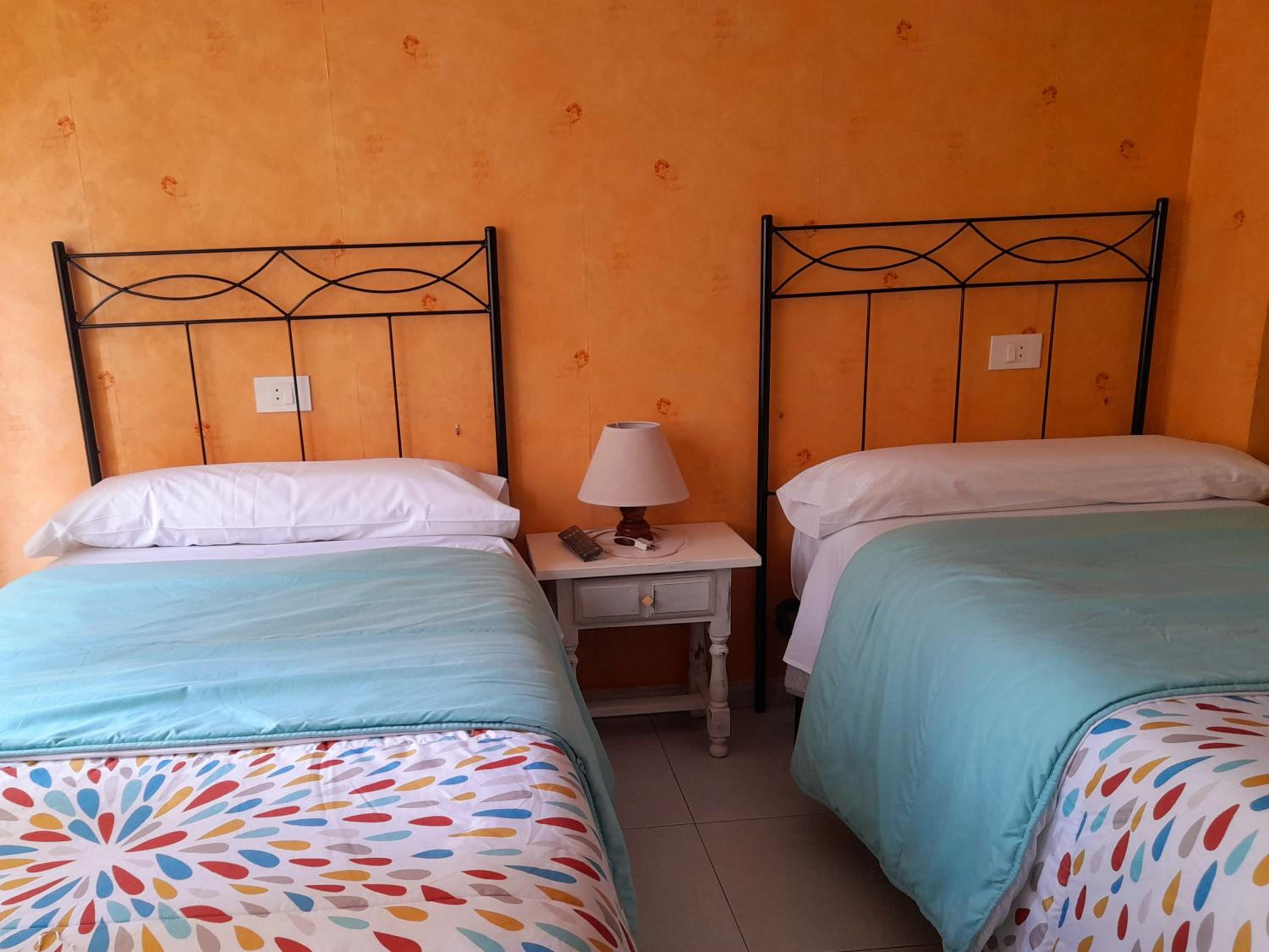 Twin Room photo 2
