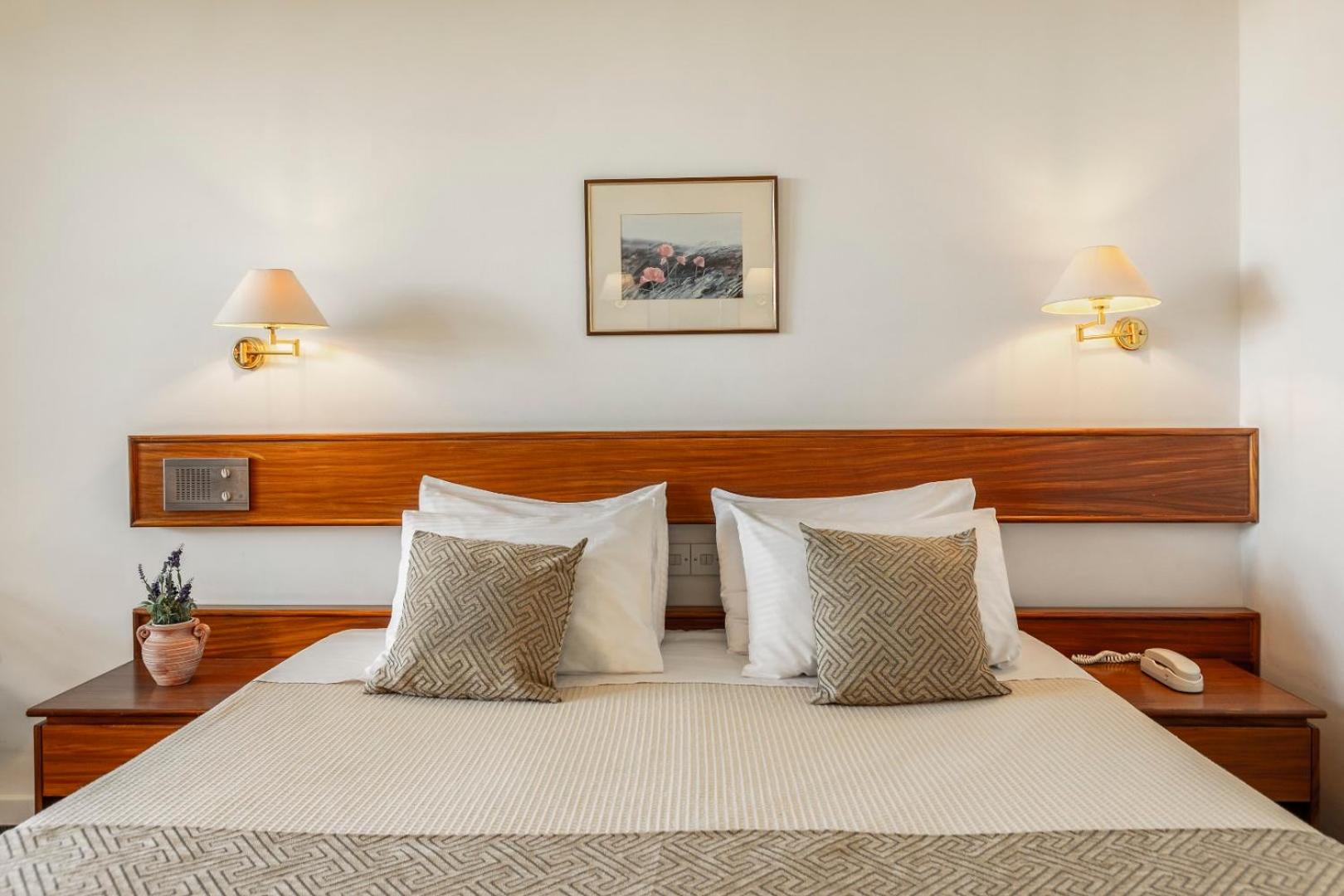 Superior Deluxe Double or Twin Room