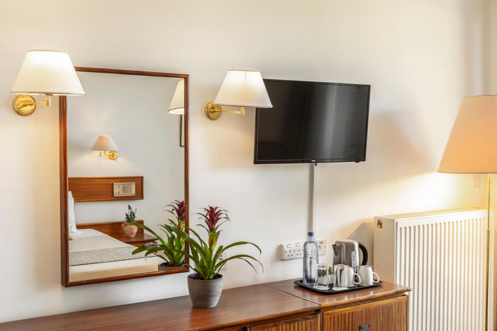 Superior Double or Twin Room photo 3