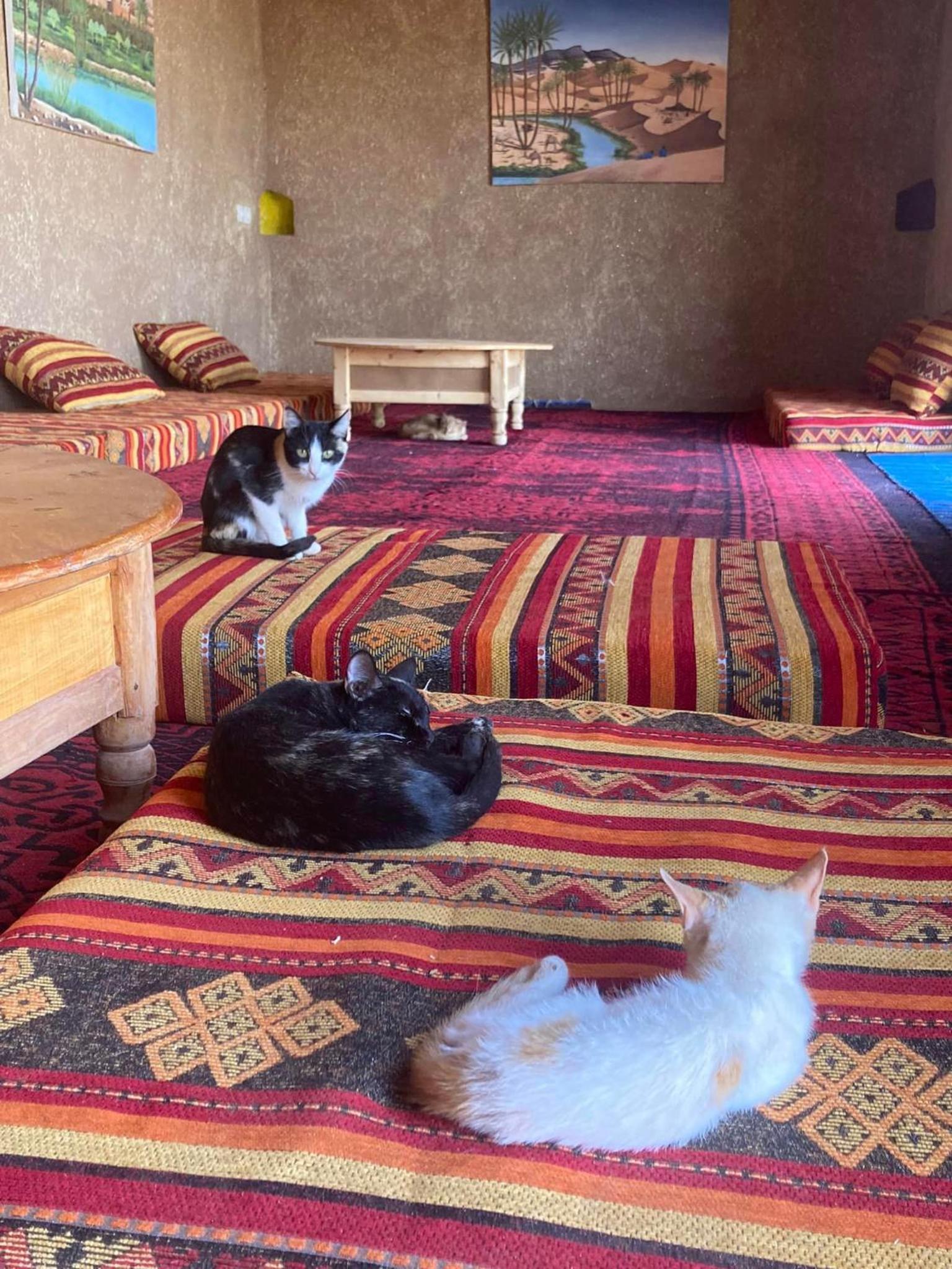 Chalet - Photo 5